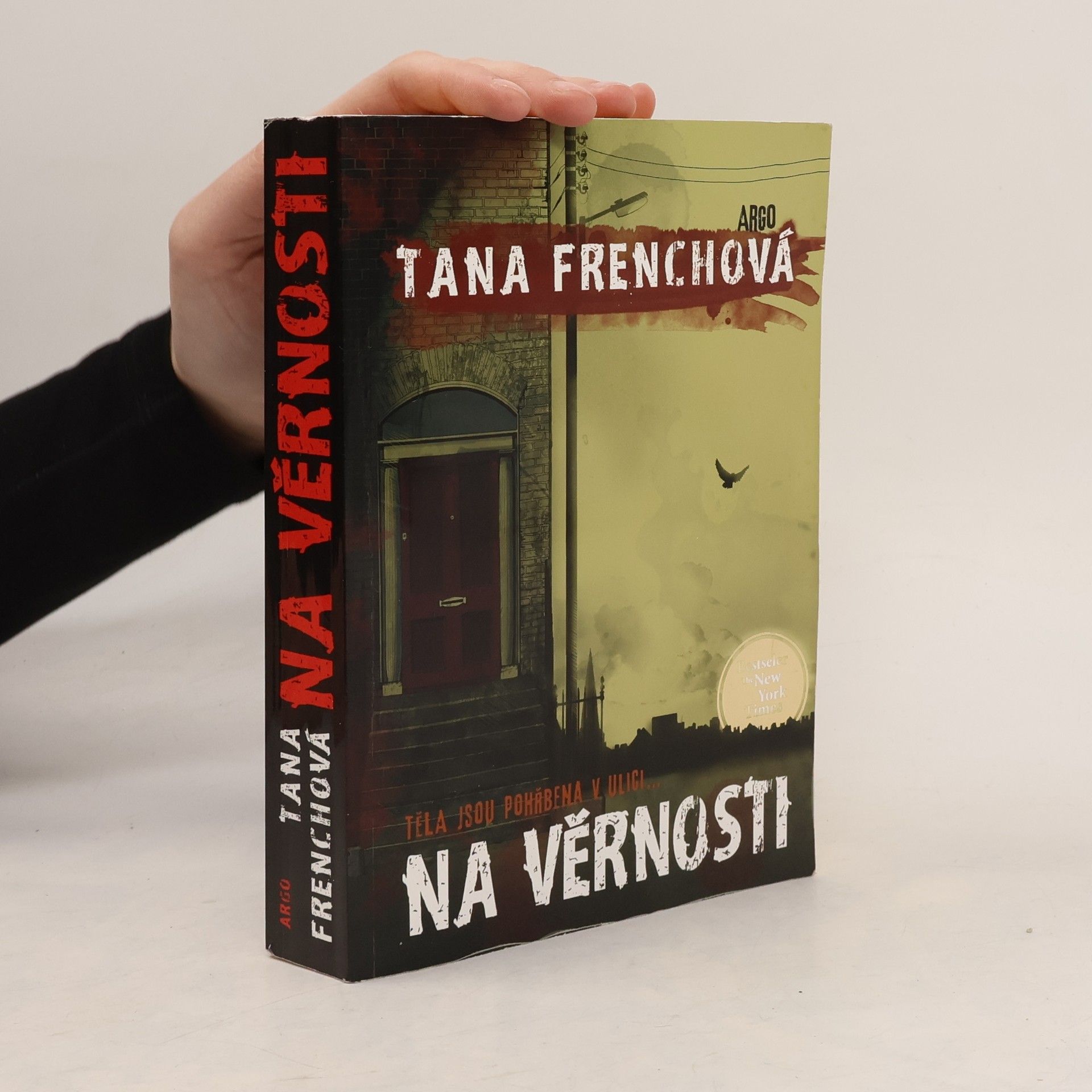 Tana French Na Věrnosti