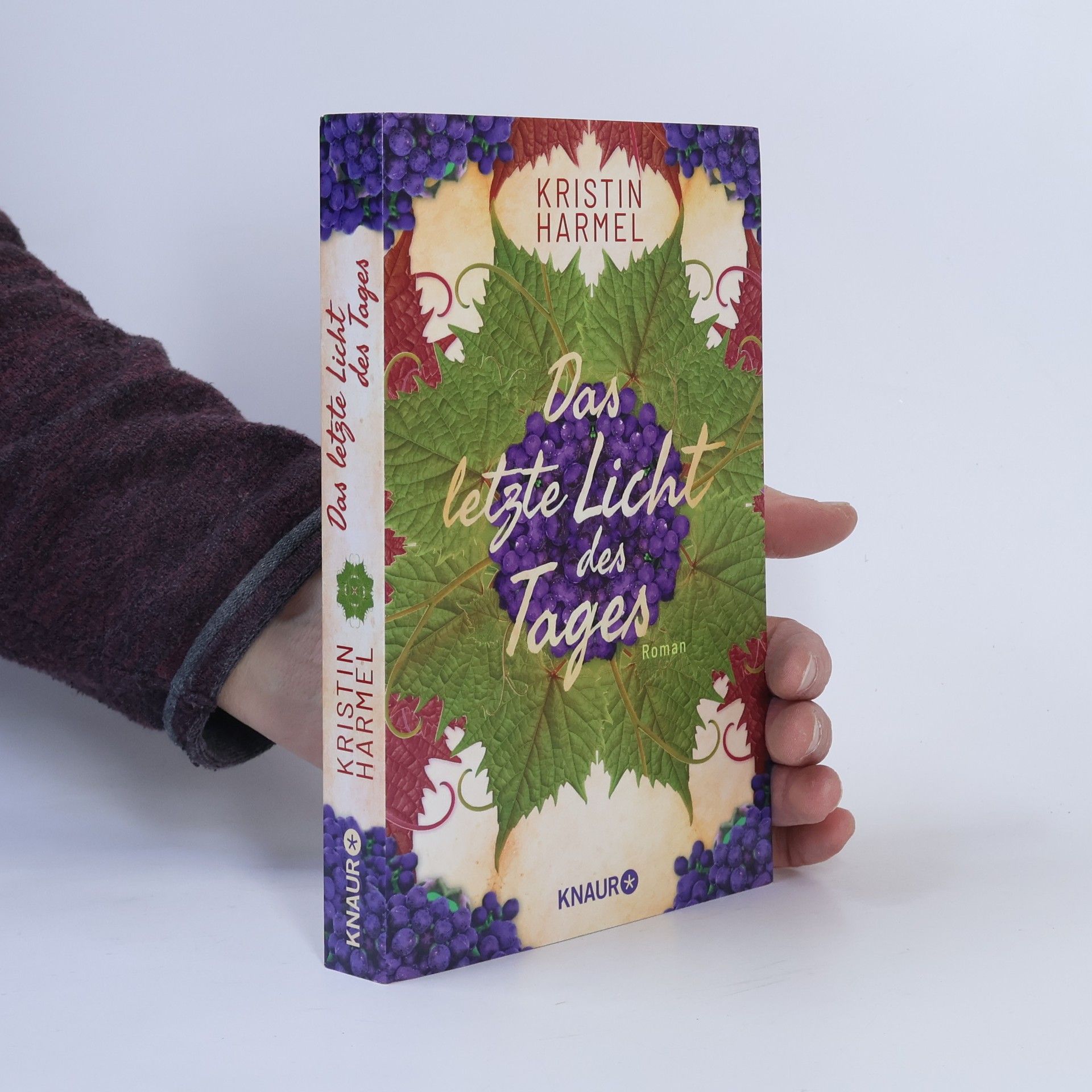 Leigh Bardugo Wer die Hölle kennt