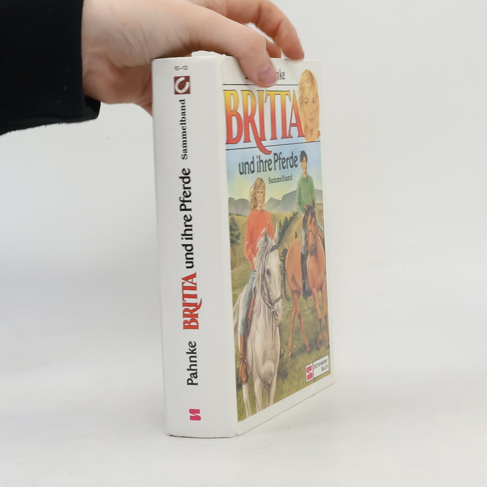 Britta und ihre Pferde