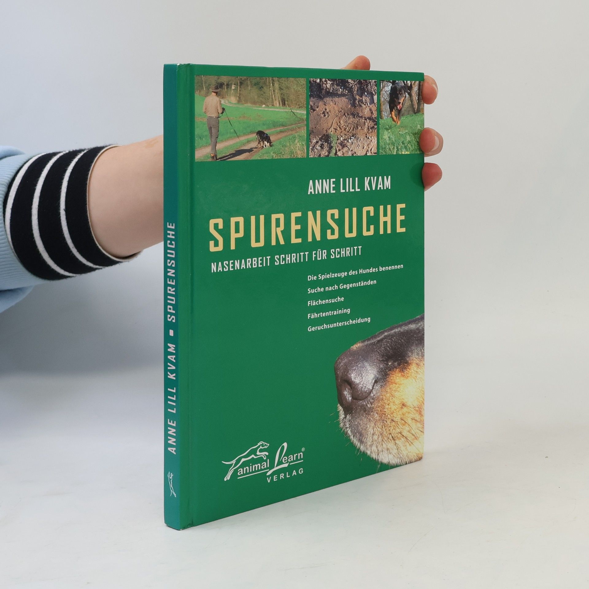 Anne Lill Kvam Spurensuche