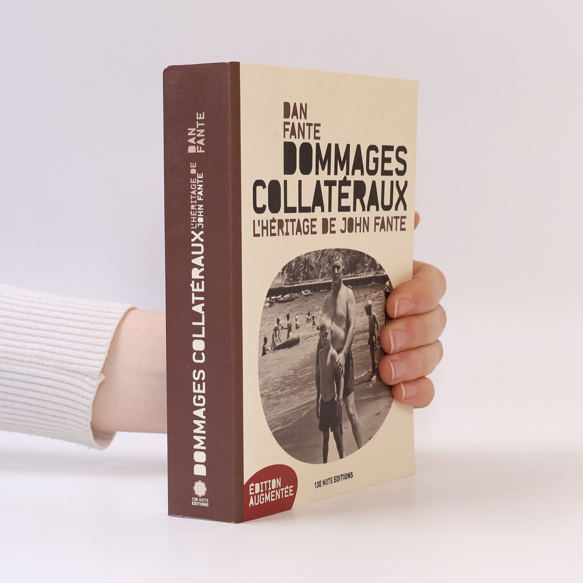 Dan Fante Dommages collatéraux