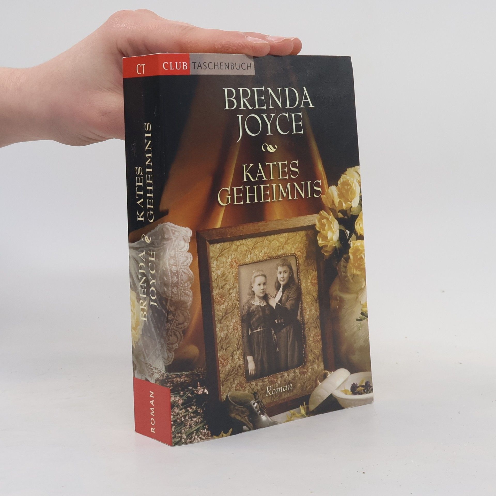 Brenda Joyce Isabels Fluch