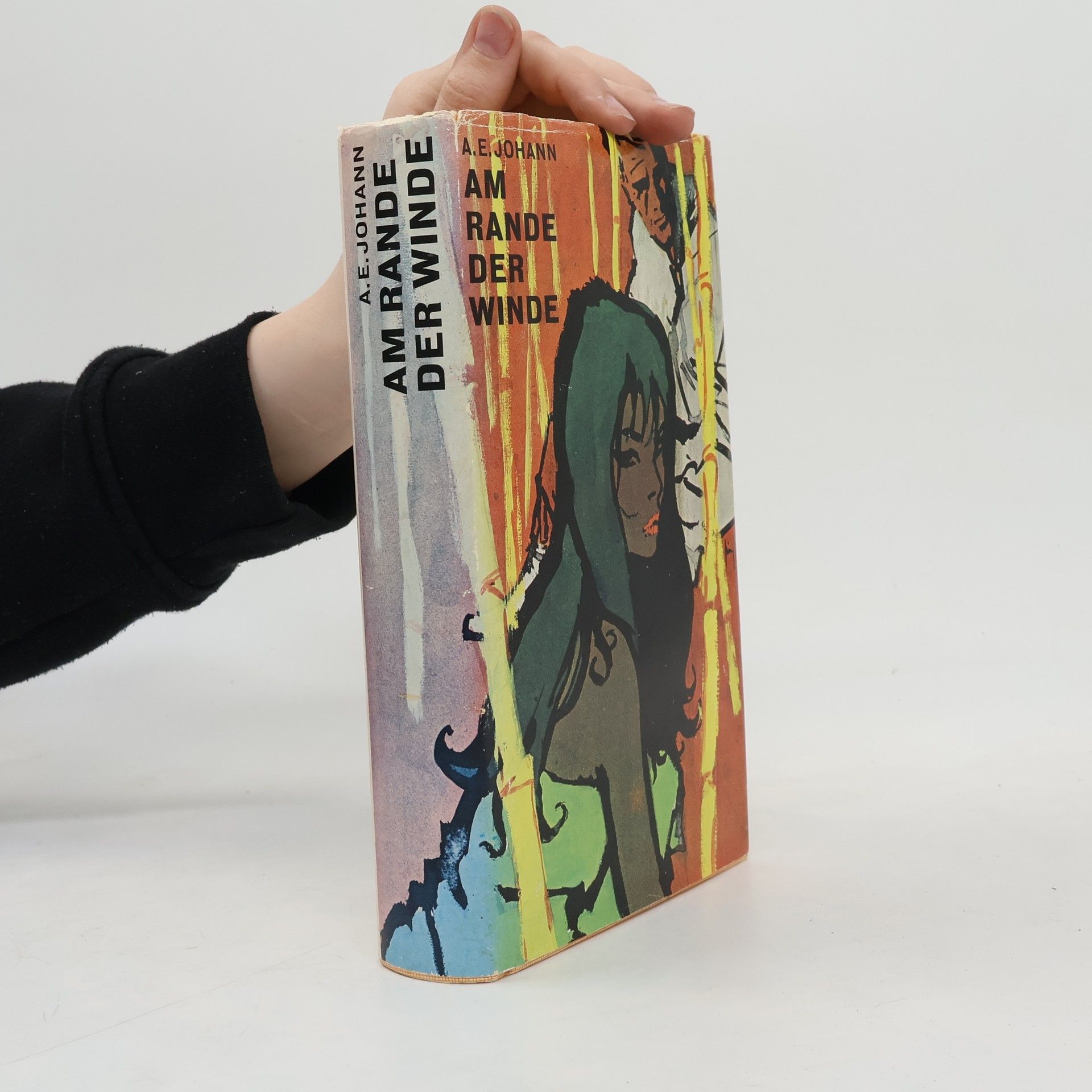 Alfred E. Johann Am Rande der Winde