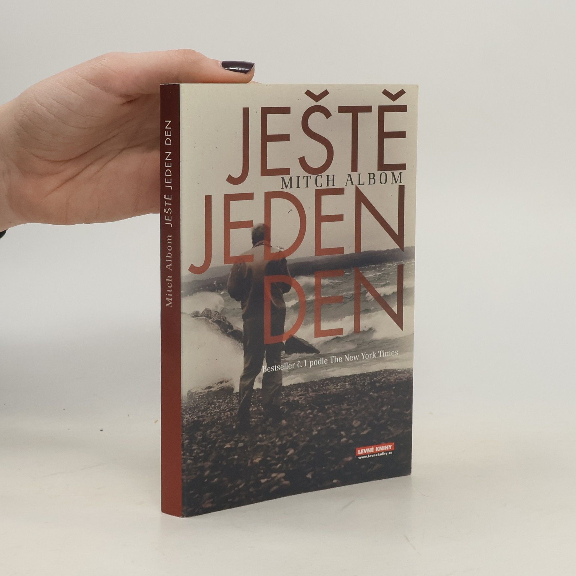 Mitch Albom Ještě jeden den