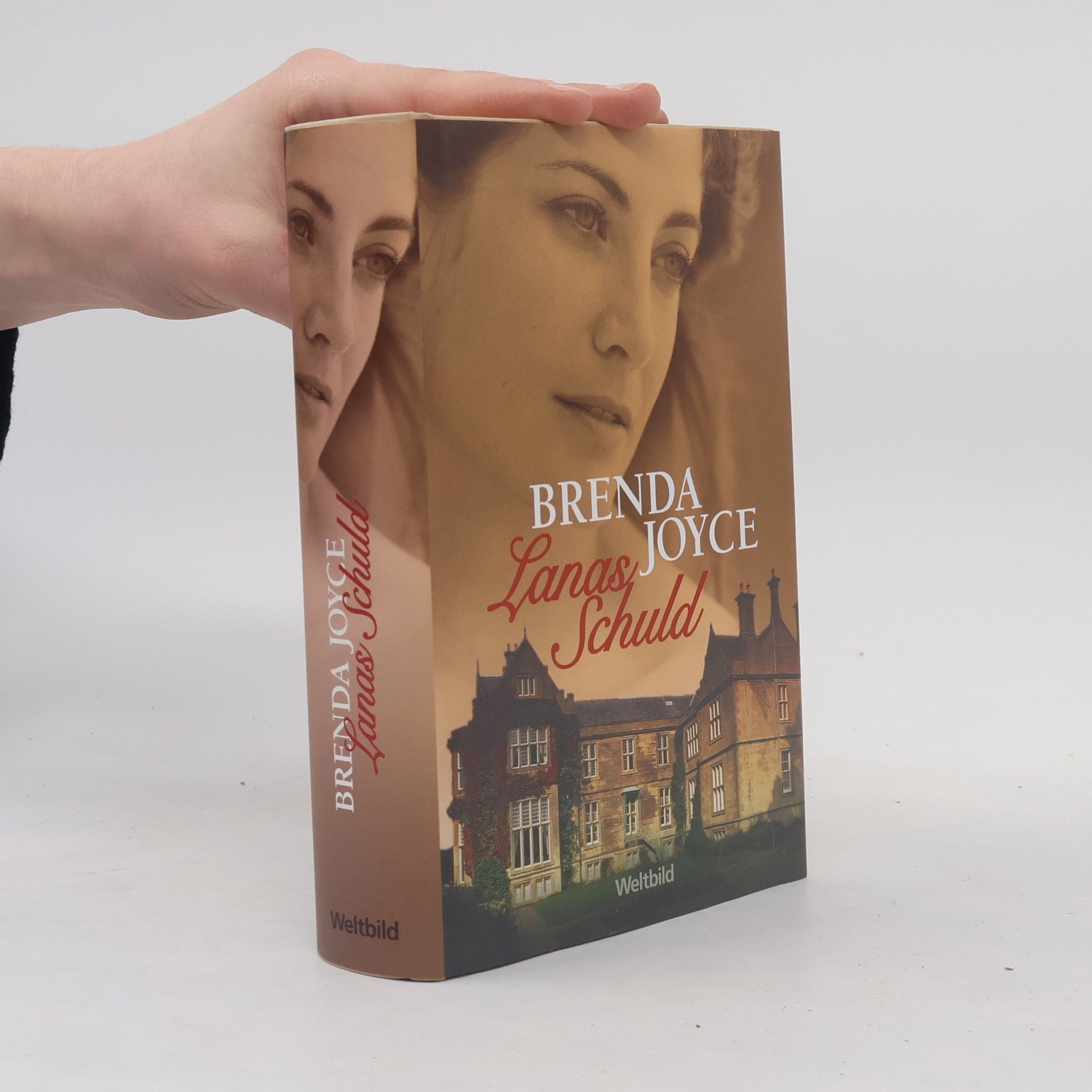 Brenda Joyce Lanas Schuld