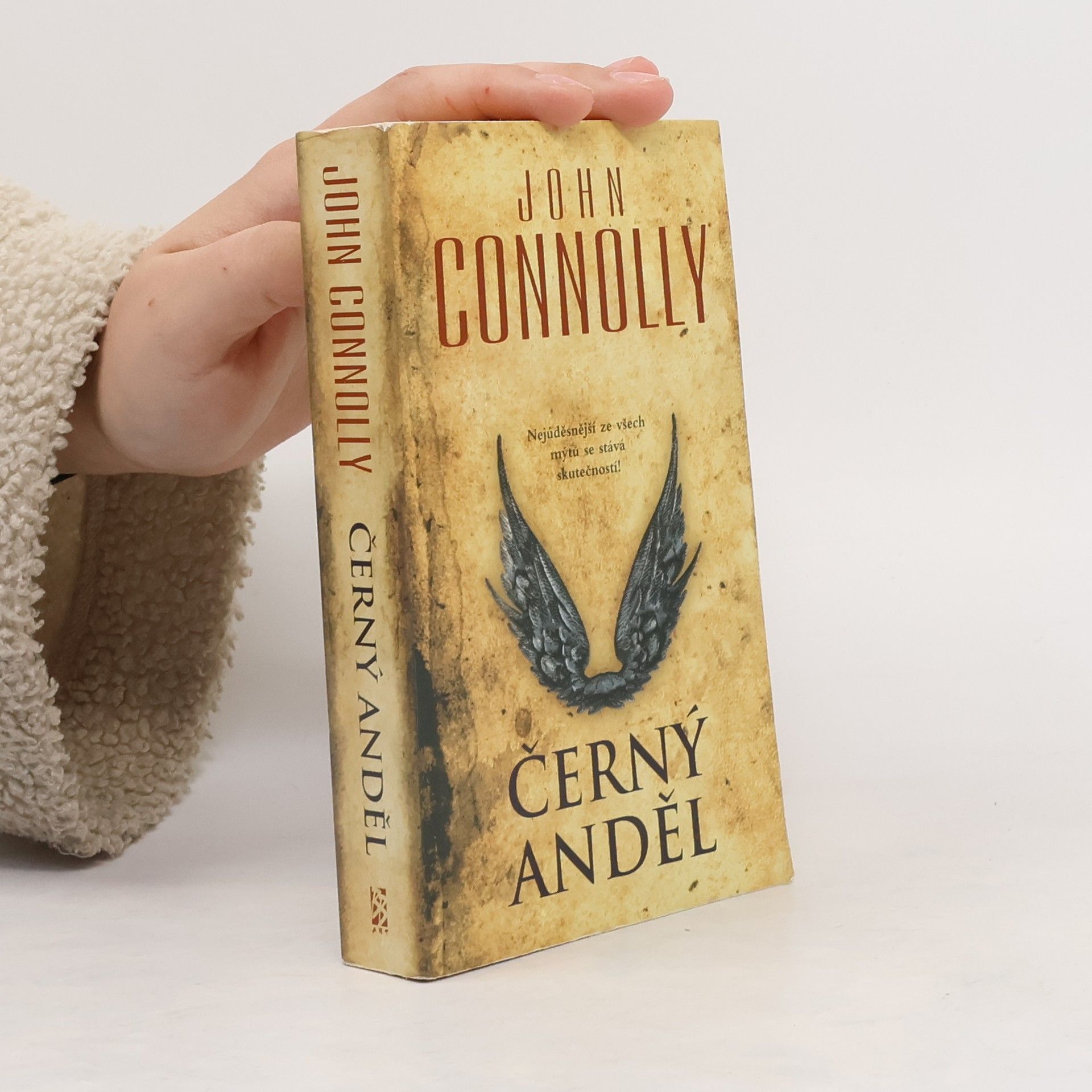 John Connolly Černý anděl