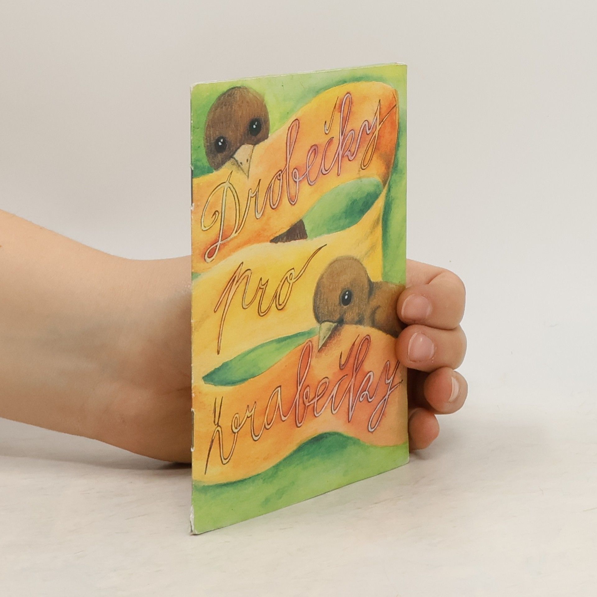 Markéta Vydrová Drobečky pro vrabečky