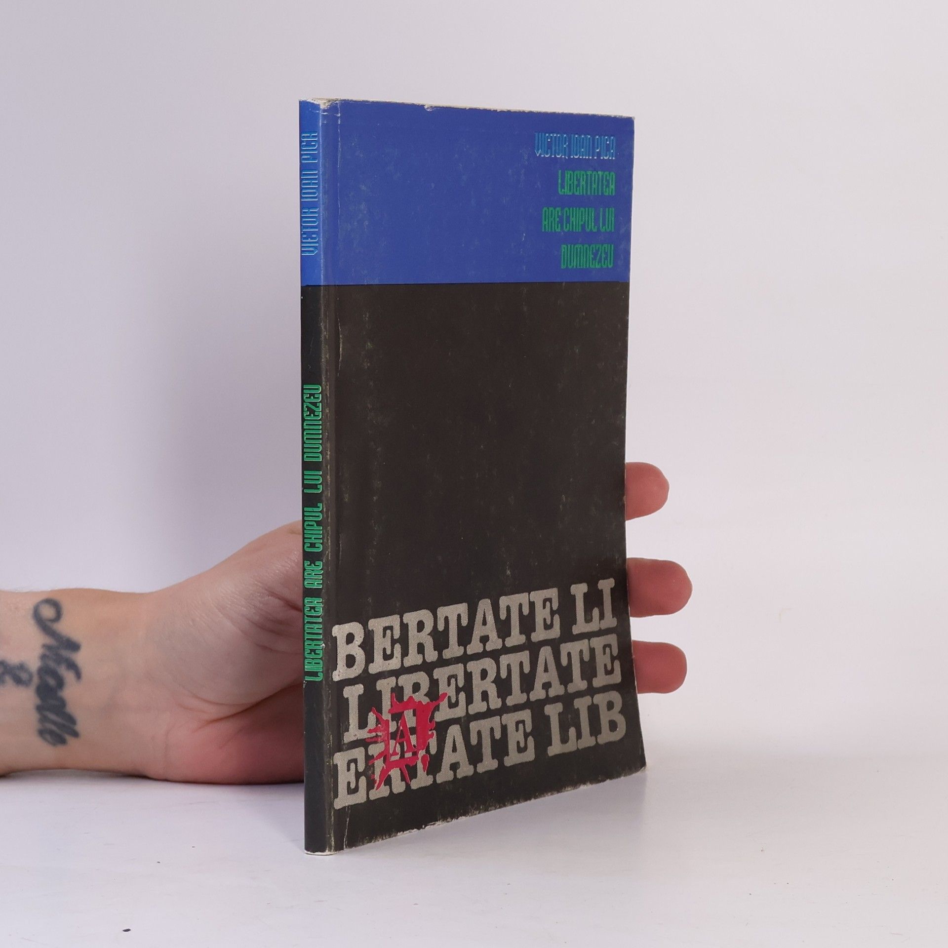 Victor Ioan Pica Libertatea are chipul lui Dumnezeu