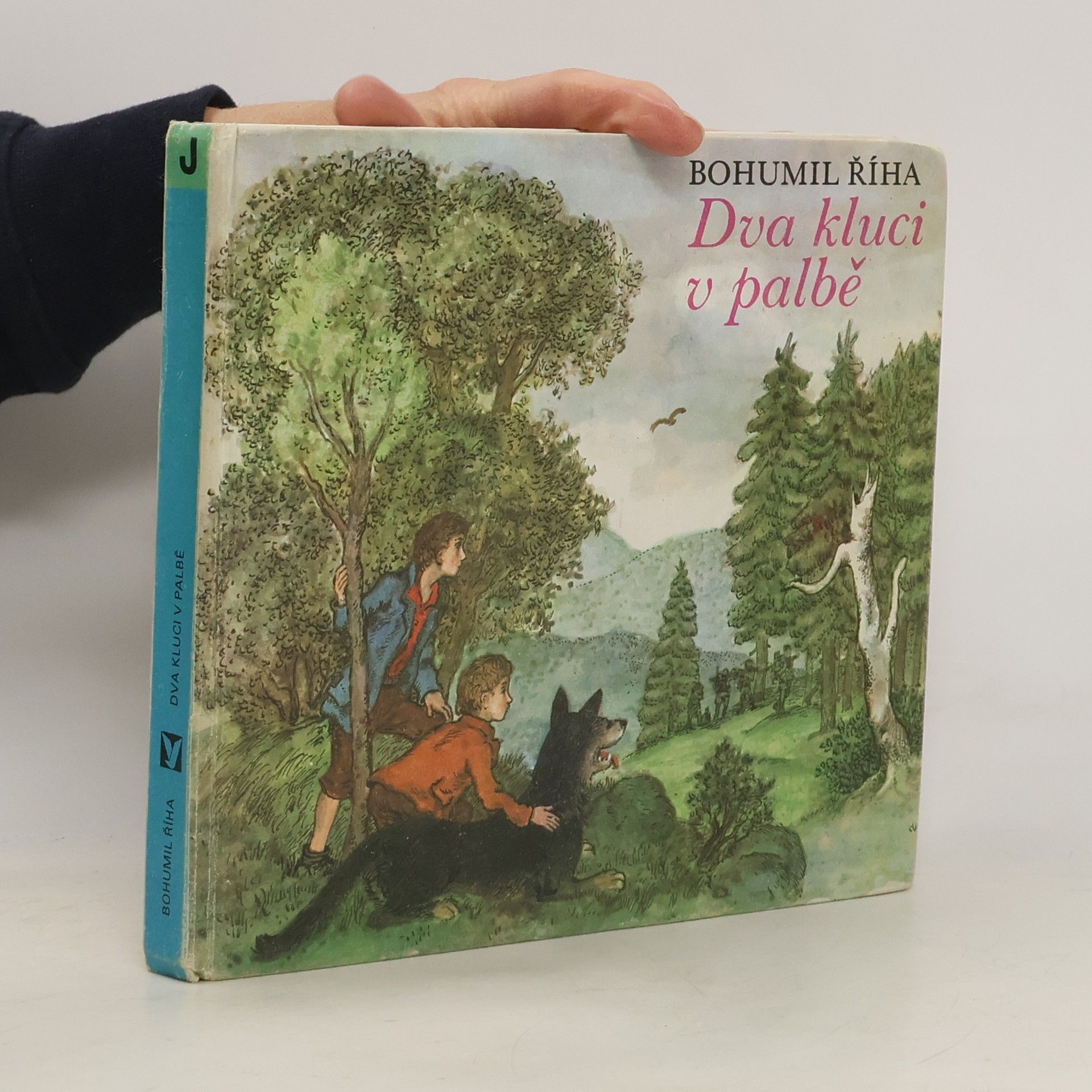 Bohumil Říha Dva kluci v palbě