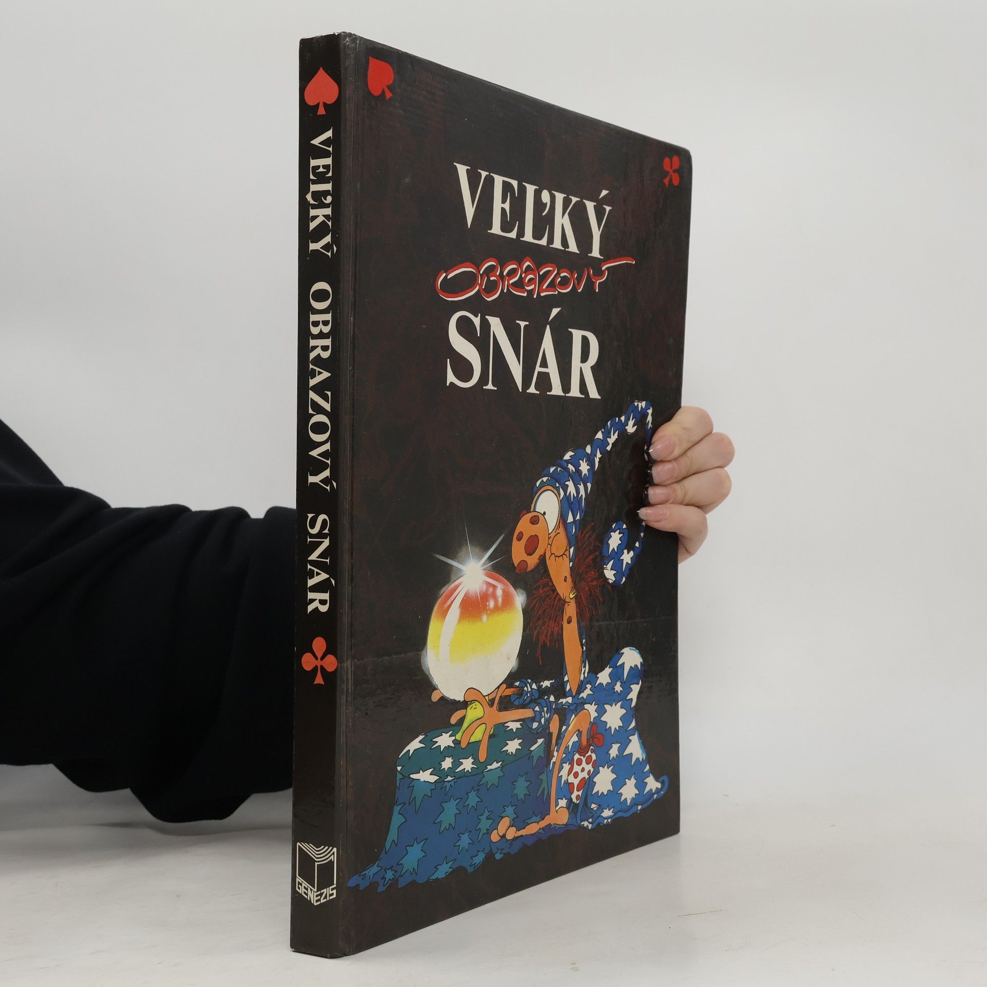 Collectif d'auteurs Veľký obrazový snár