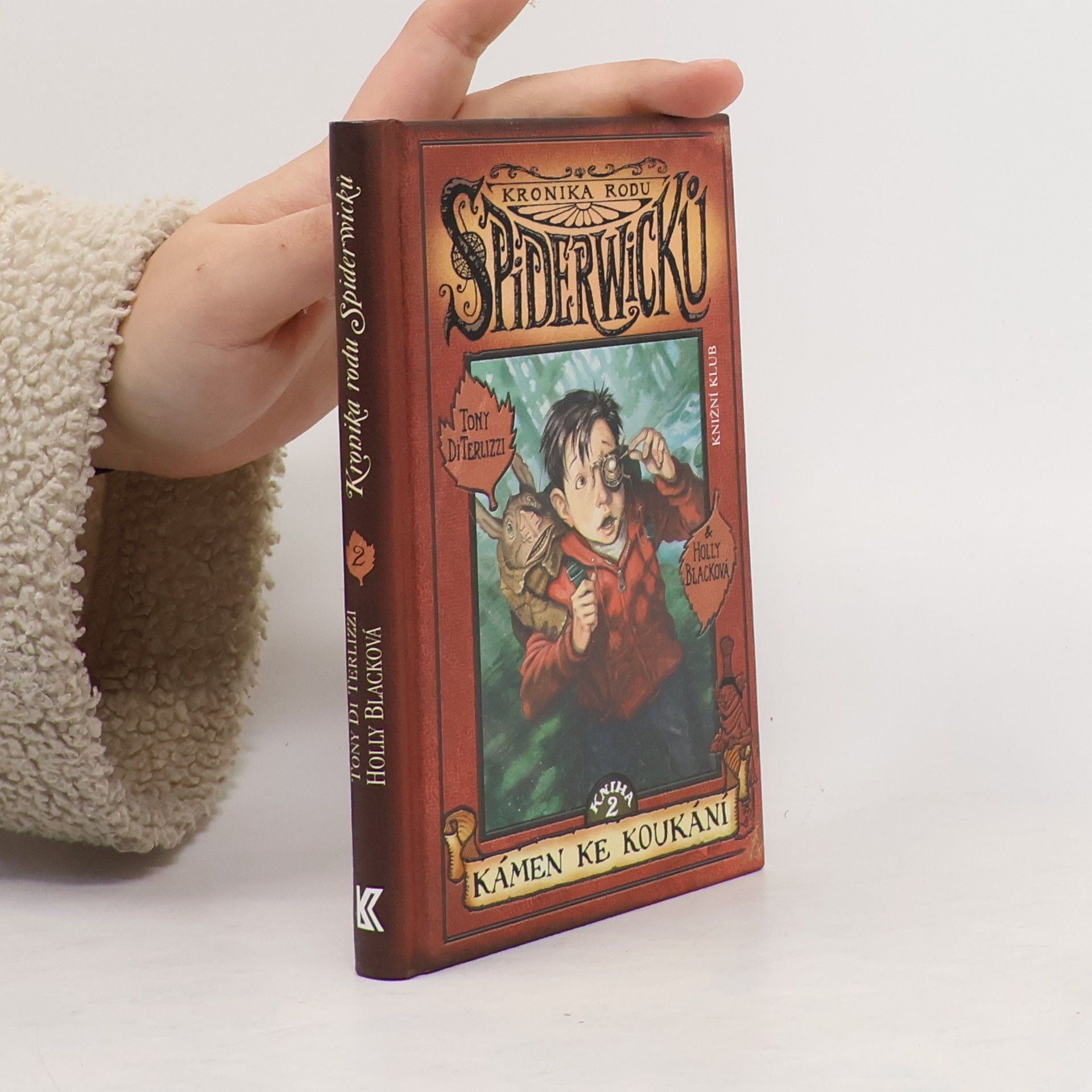 Tony DiTerlizzi Kronika rodu Spiderwicků. Kniha 2, Kámen ke koukání