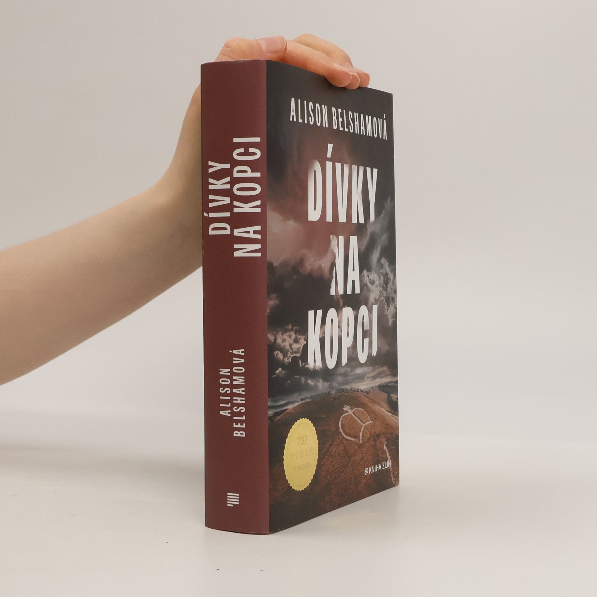 Alison Belsham Dívky na kopci