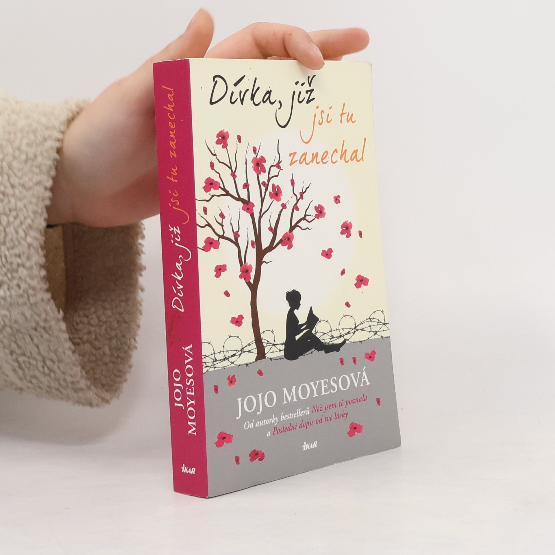 Jojo Moyes Dívka, již jsi tu zanechal