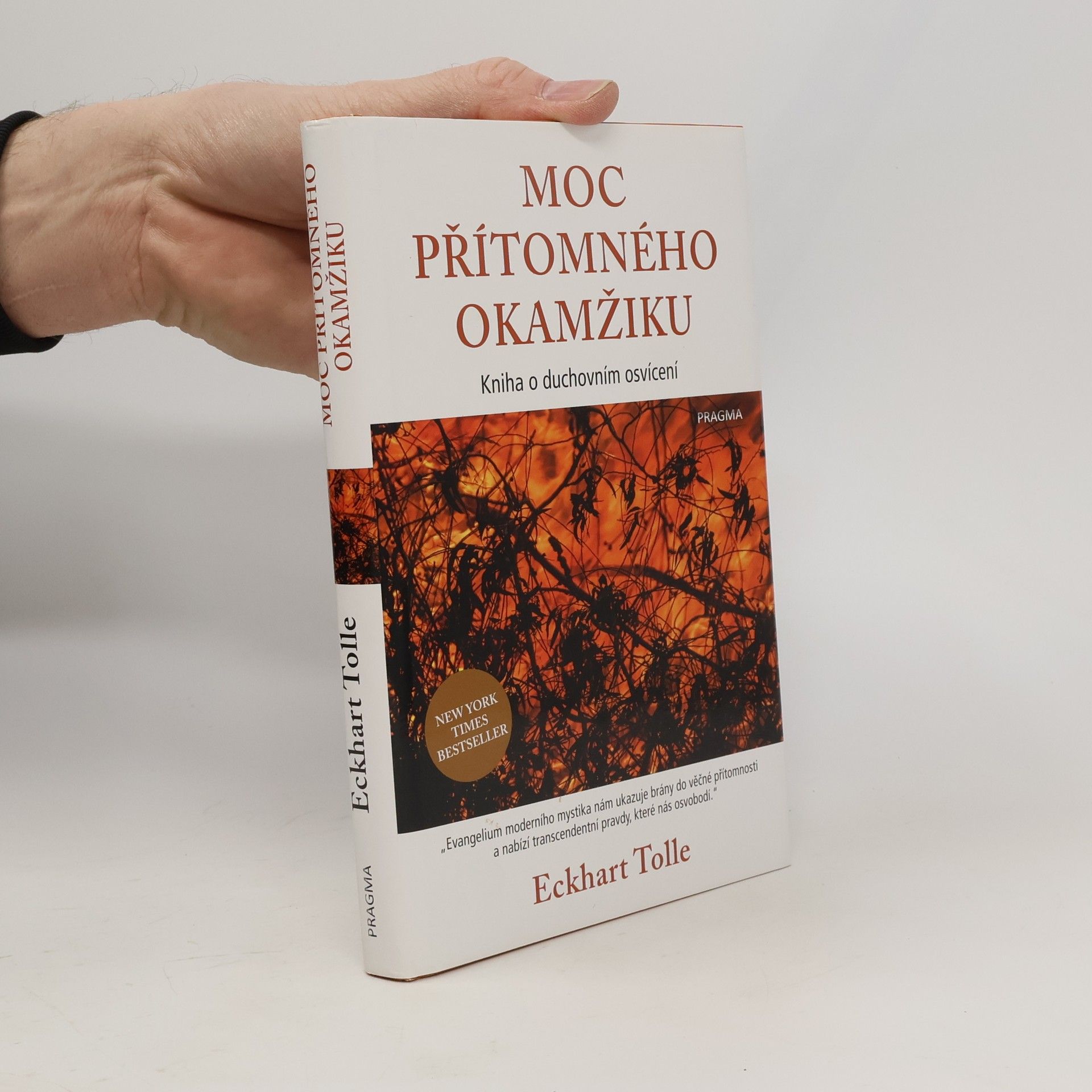 Eckhart Tolle Moc přítomného okamžiku