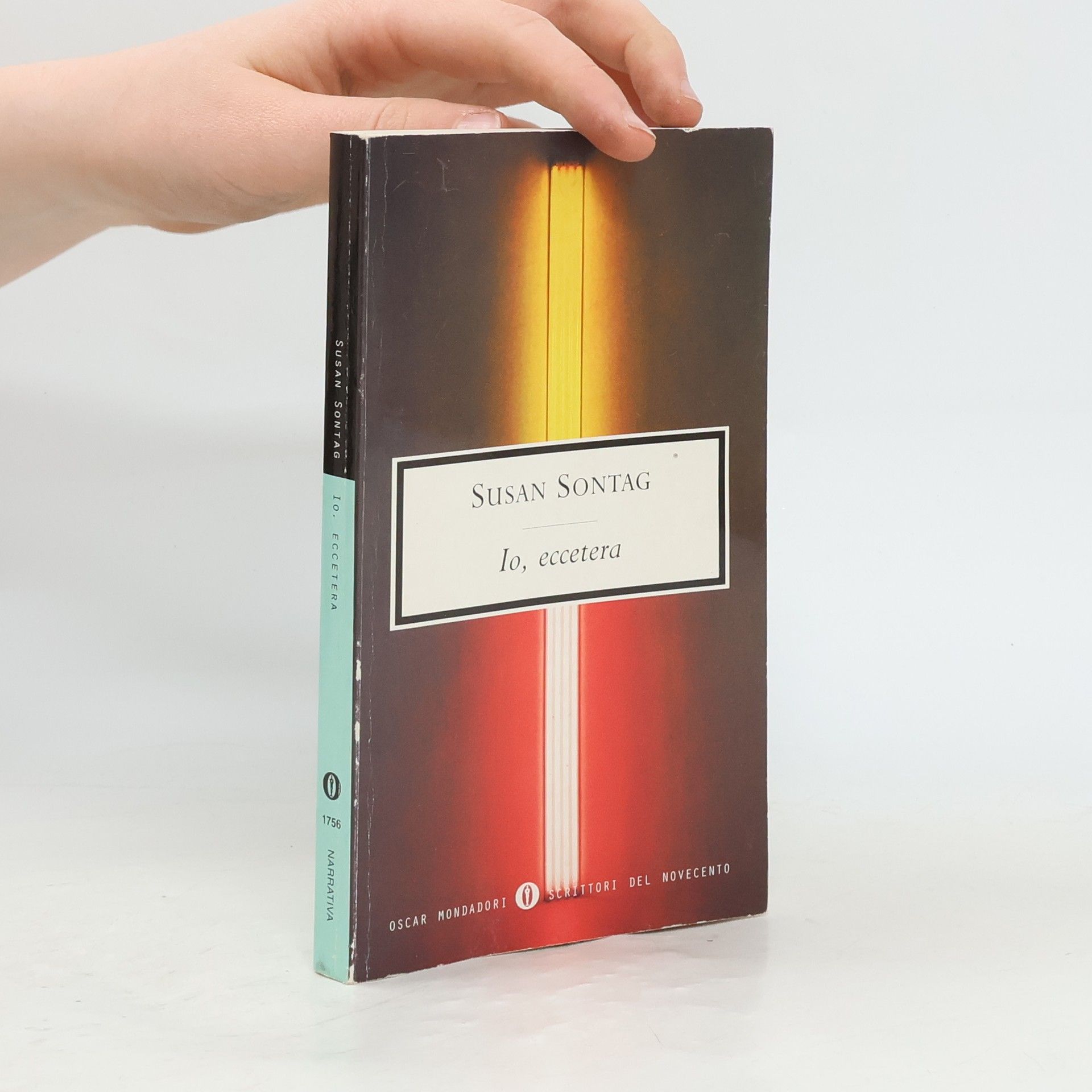 Susan Sontag Io, eccetera