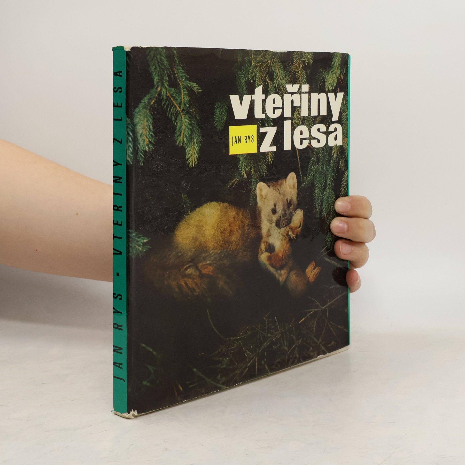 Jan Rys Vteřiny z lesa