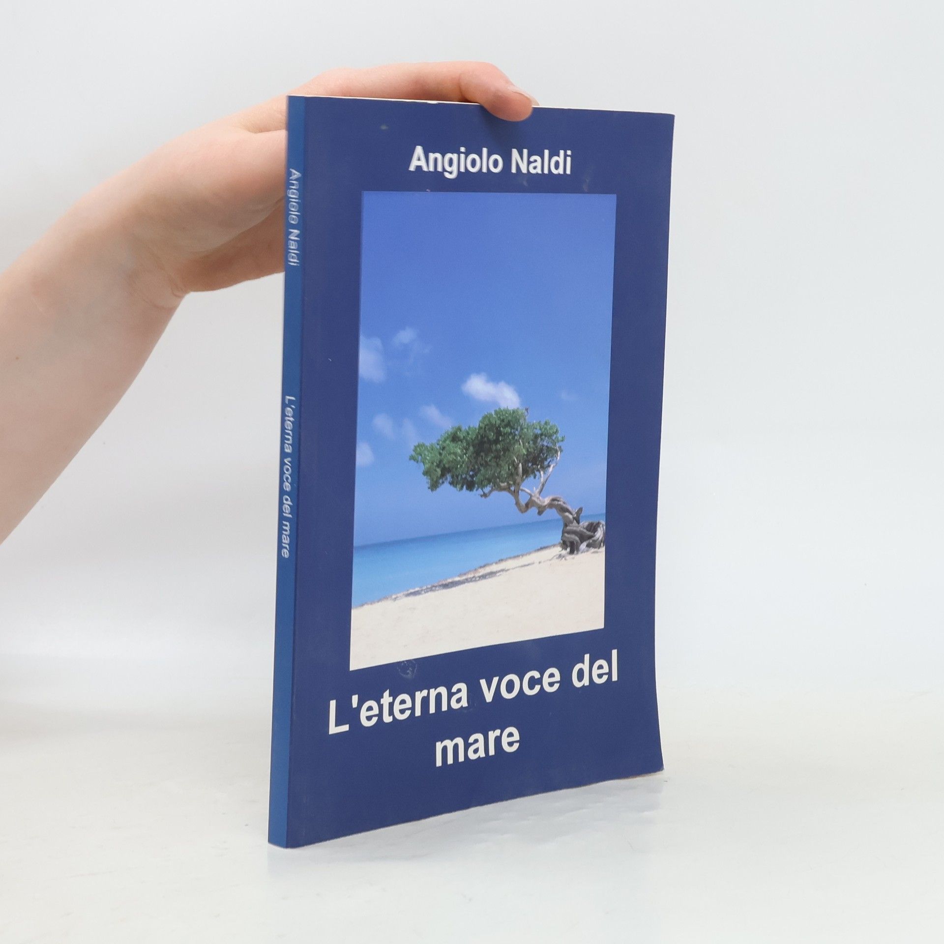 Angiolo Naldi L'eterna voce del mare