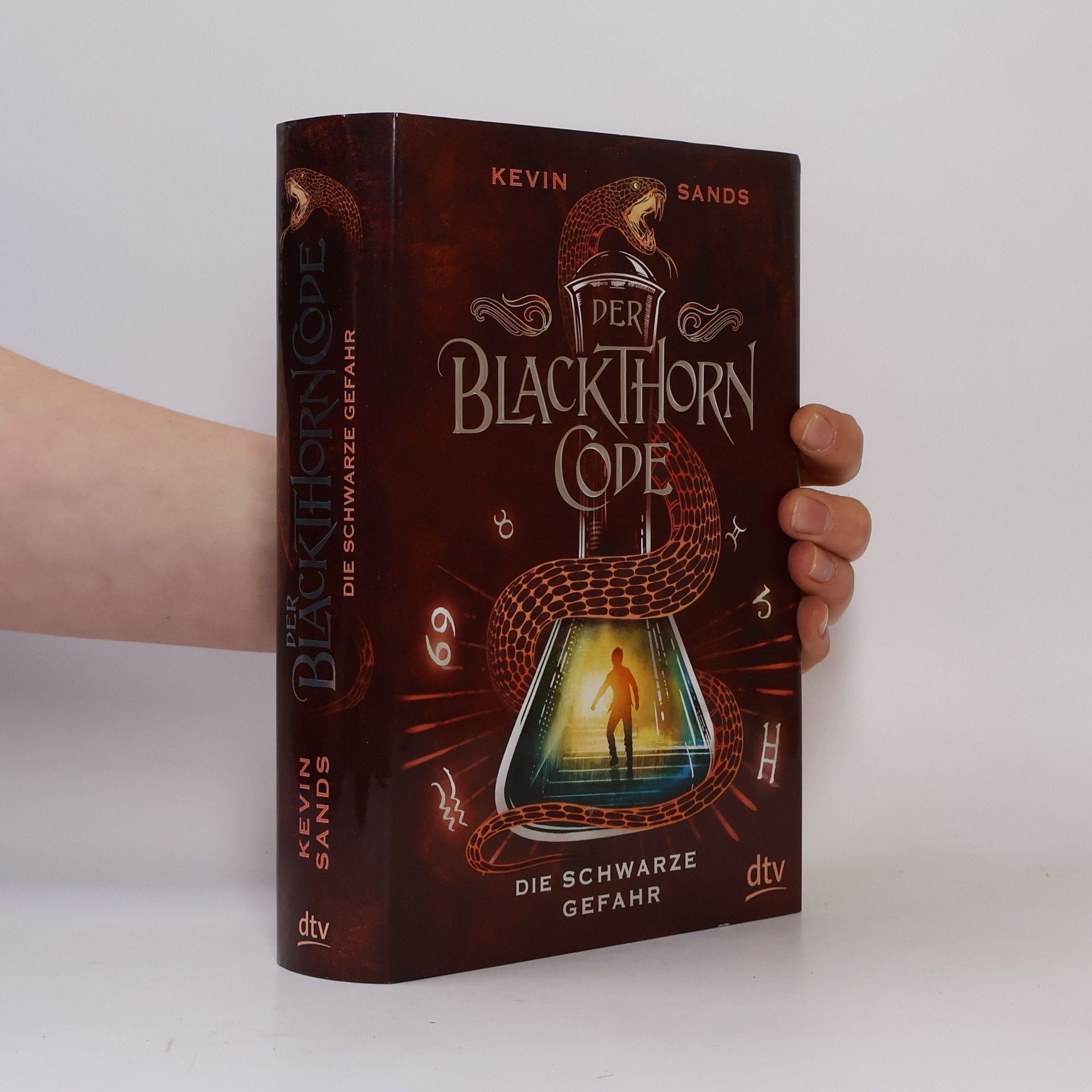 Kevin Sands Der Blackthorn Code - die schwarze Gefahr