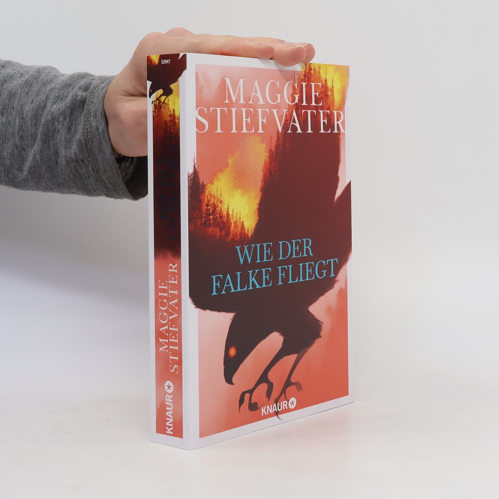 Maggie Stiefvater Wie der Falke fliegt