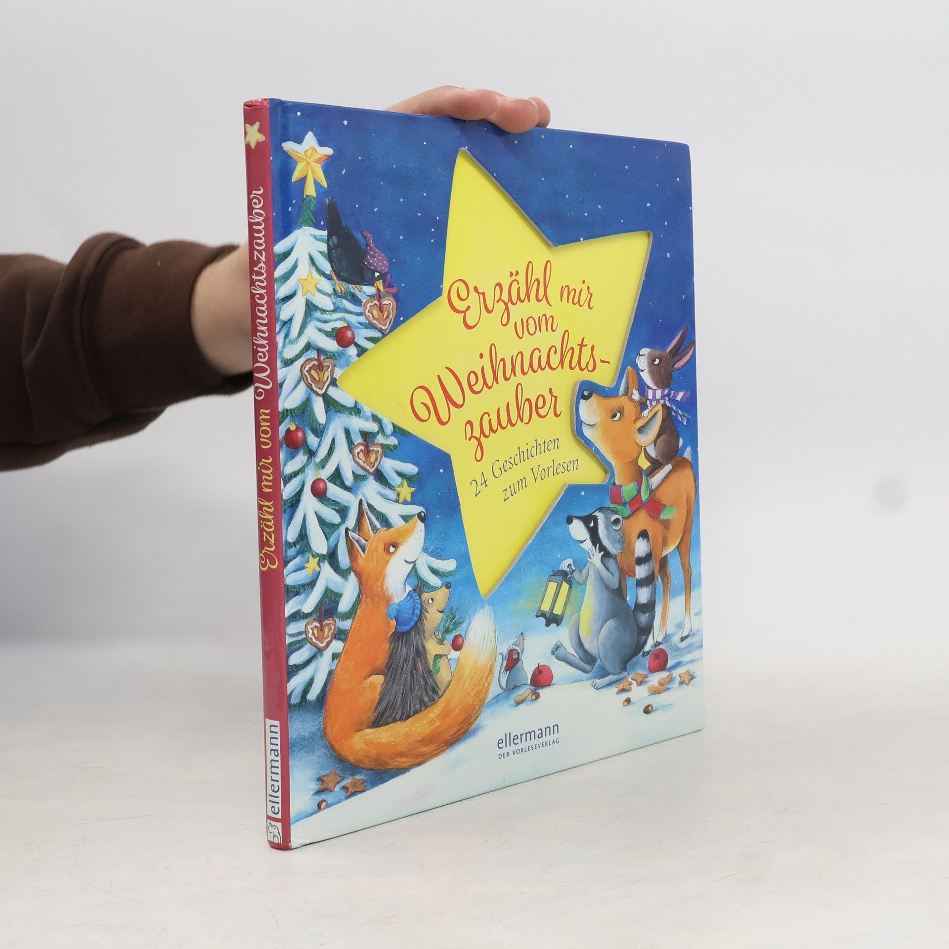 Anne Ameling Erzähl mir vom Weihnachtszauber