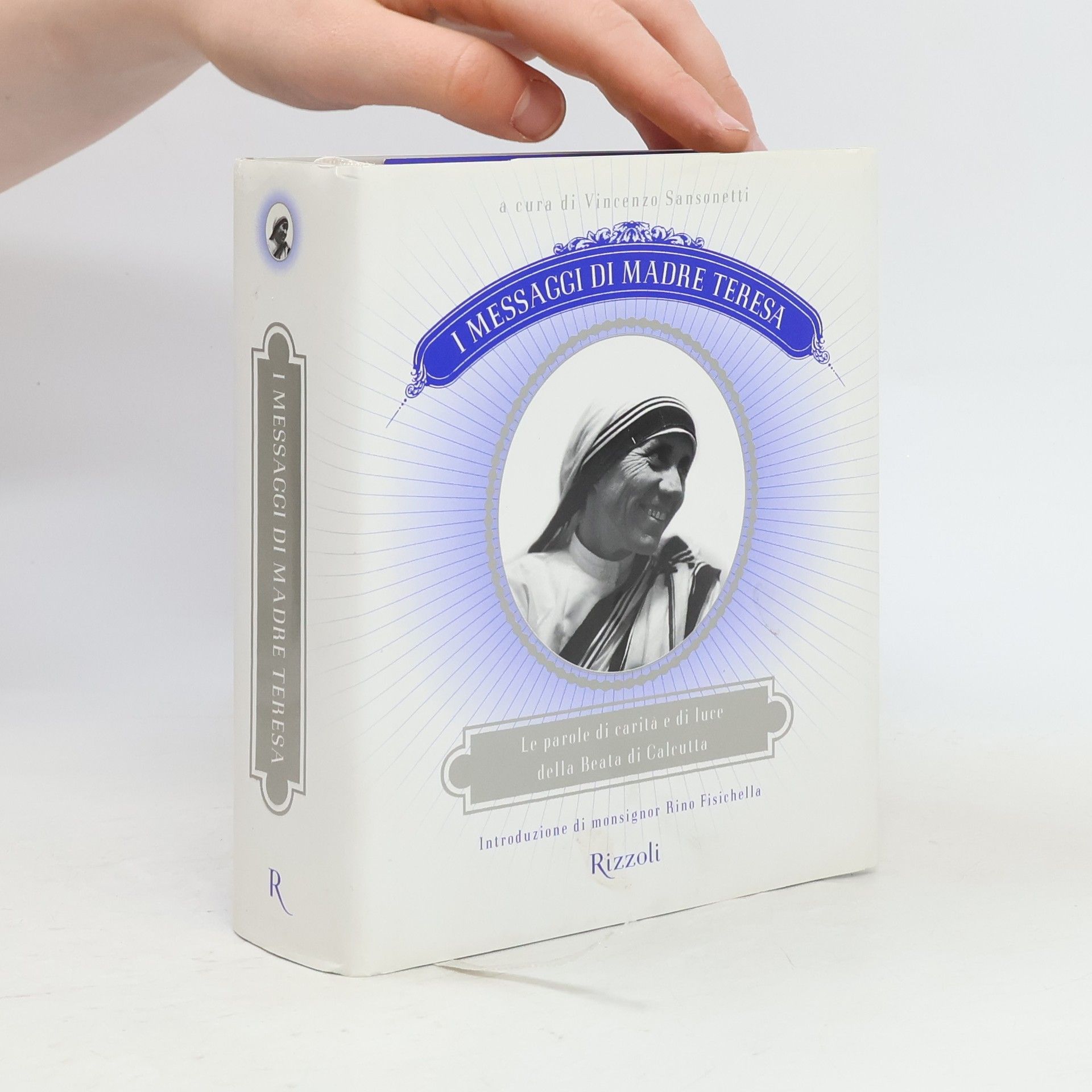Vincenzo Sansonetti I messaggi di Madre Teresa. Le parole di carità e amore della missionaria di Calcutta