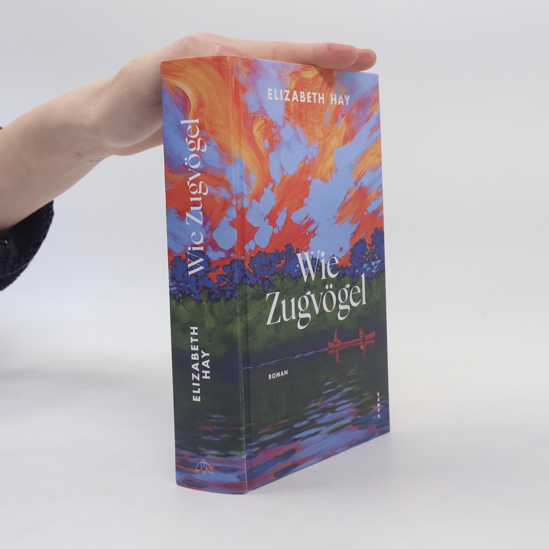 Elizabeth Hay Wie Zugvögel