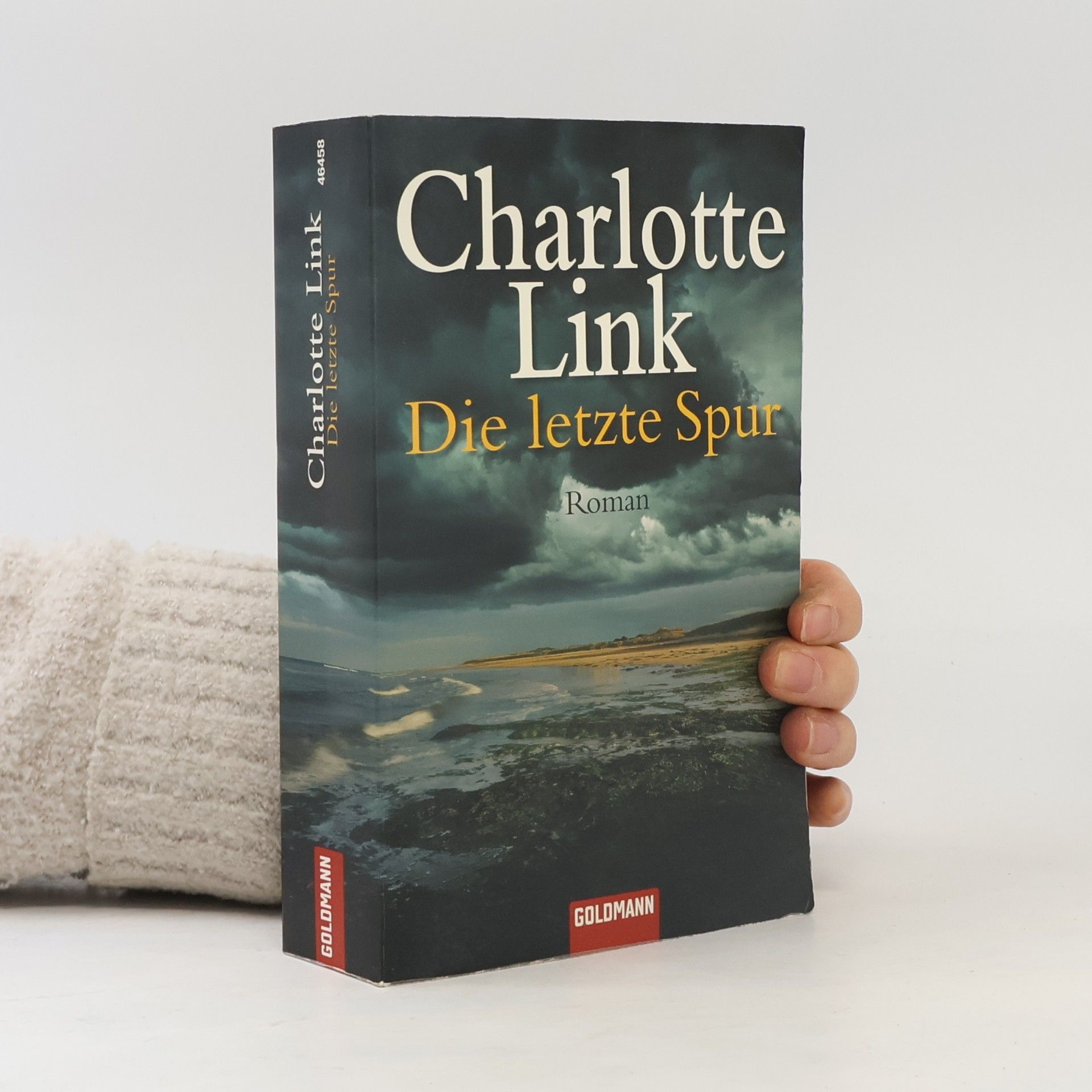 Charlotte Link Die letzte Spur