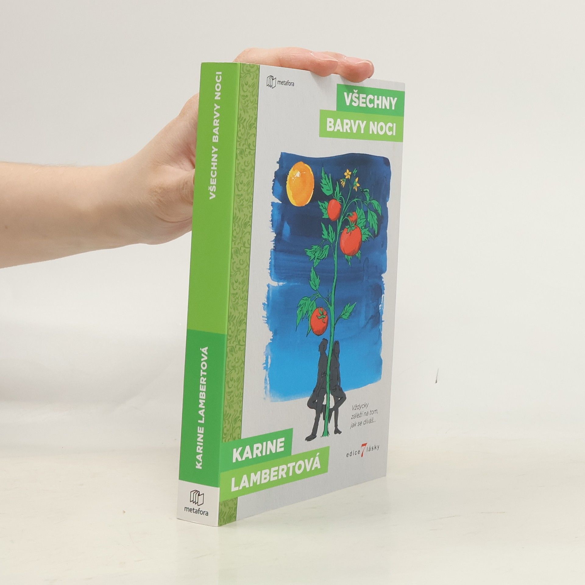 Karine Lambert Všechny barvy noci