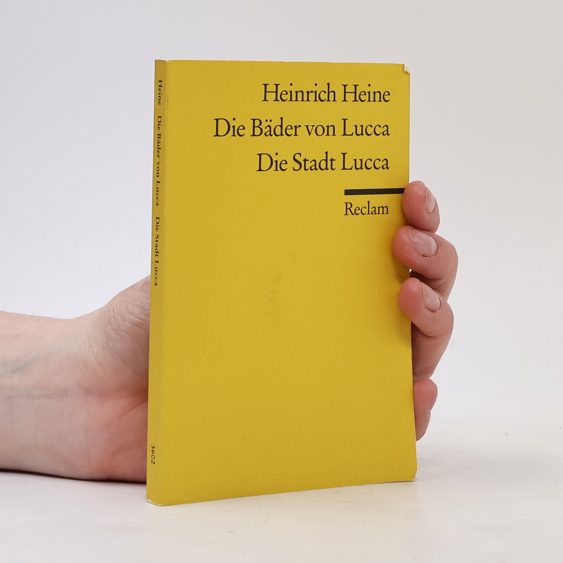 Die Bäder von Lucca. Die Stadt Lucca