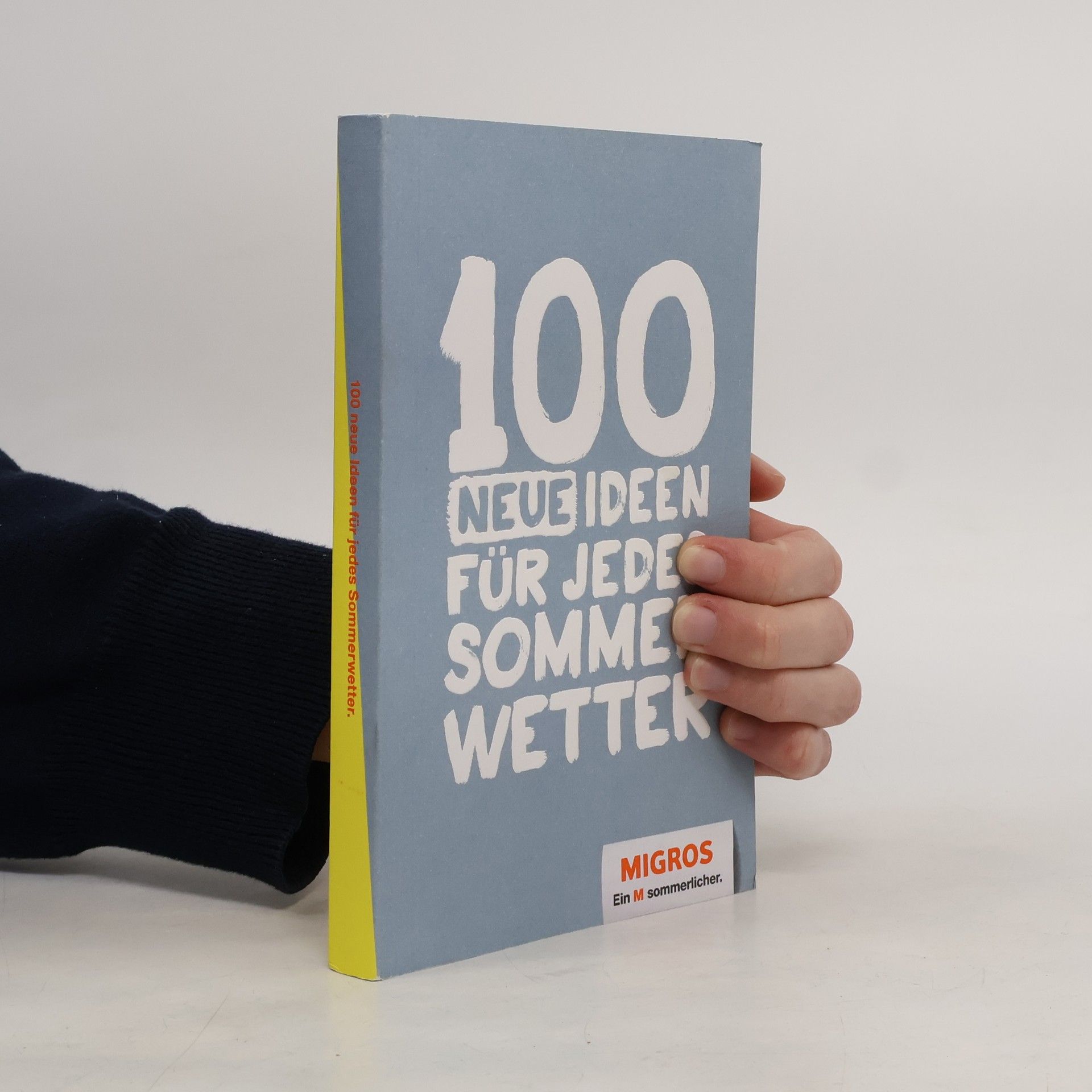 Autorenkollektiv 100 neue Ideen für jedes Sommerwetter