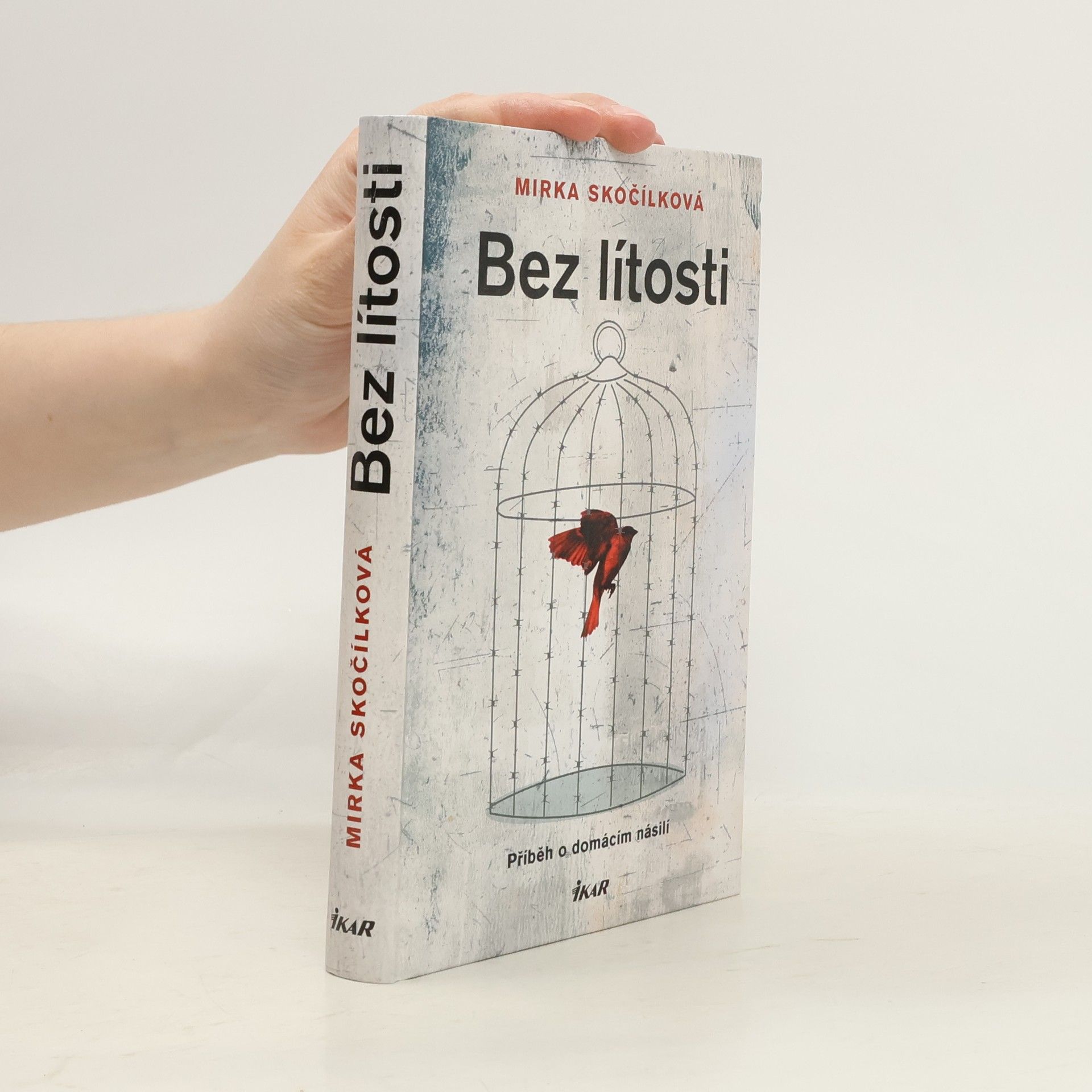 Mirka Skočílková Bez lítosti