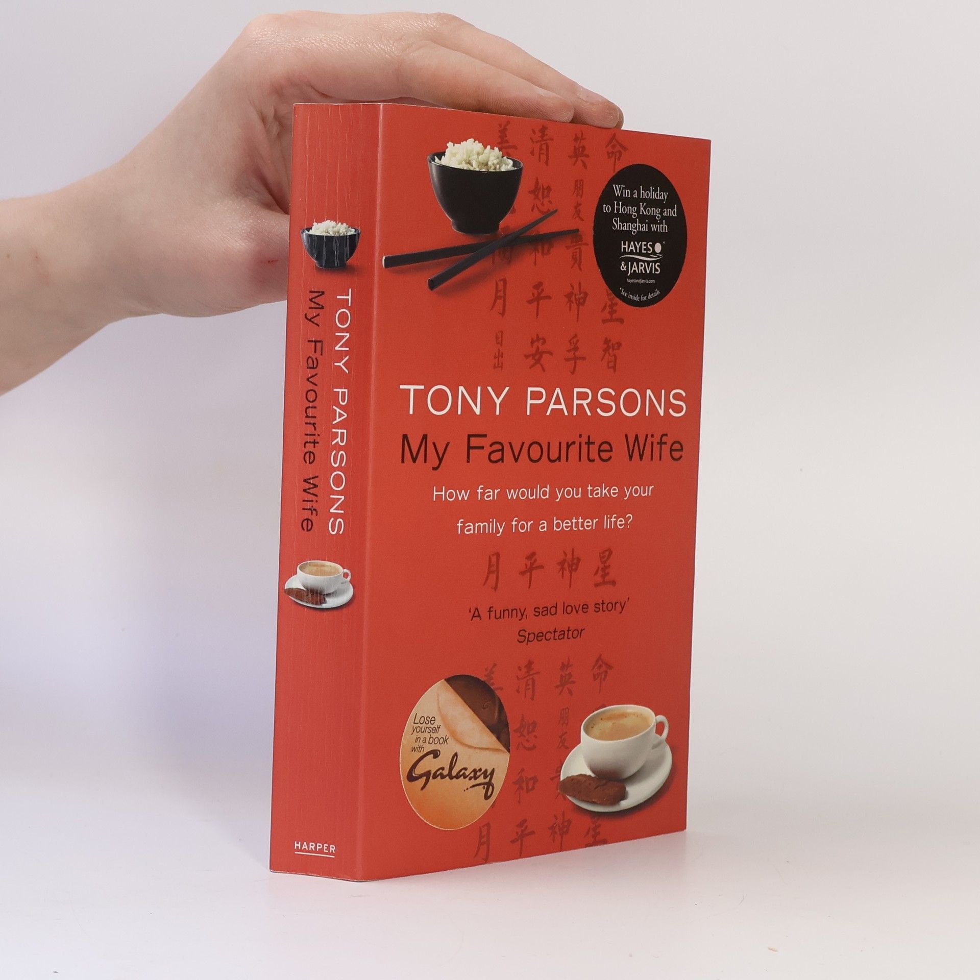 Tony Parsons My Favourite Wife