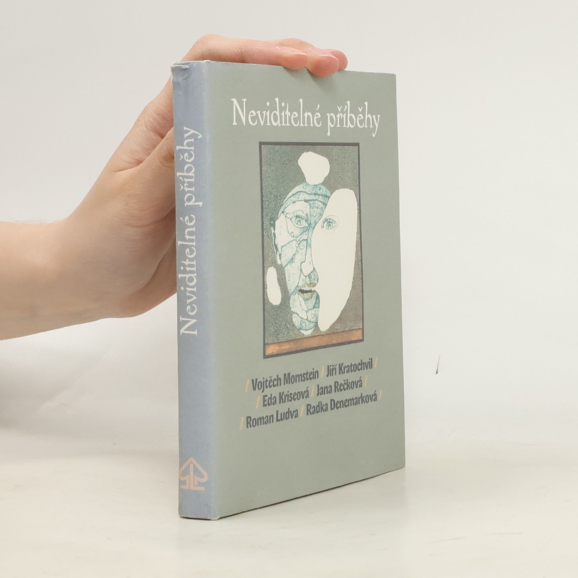 Kolektiv autorů Neviditelné příběhy