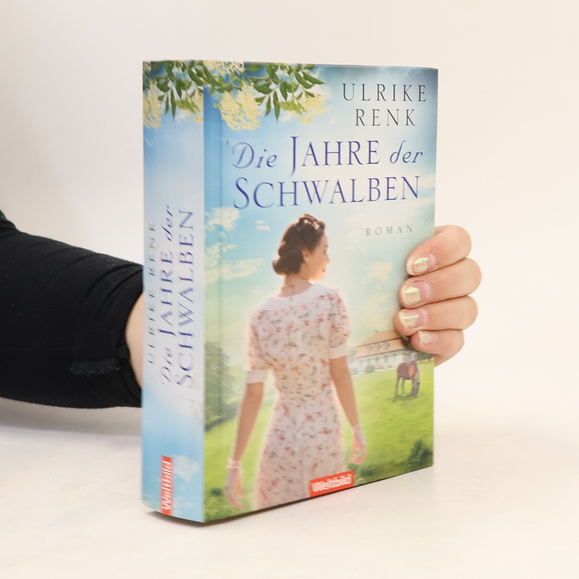 Ulrike Renk Die Jahre der Schwalben