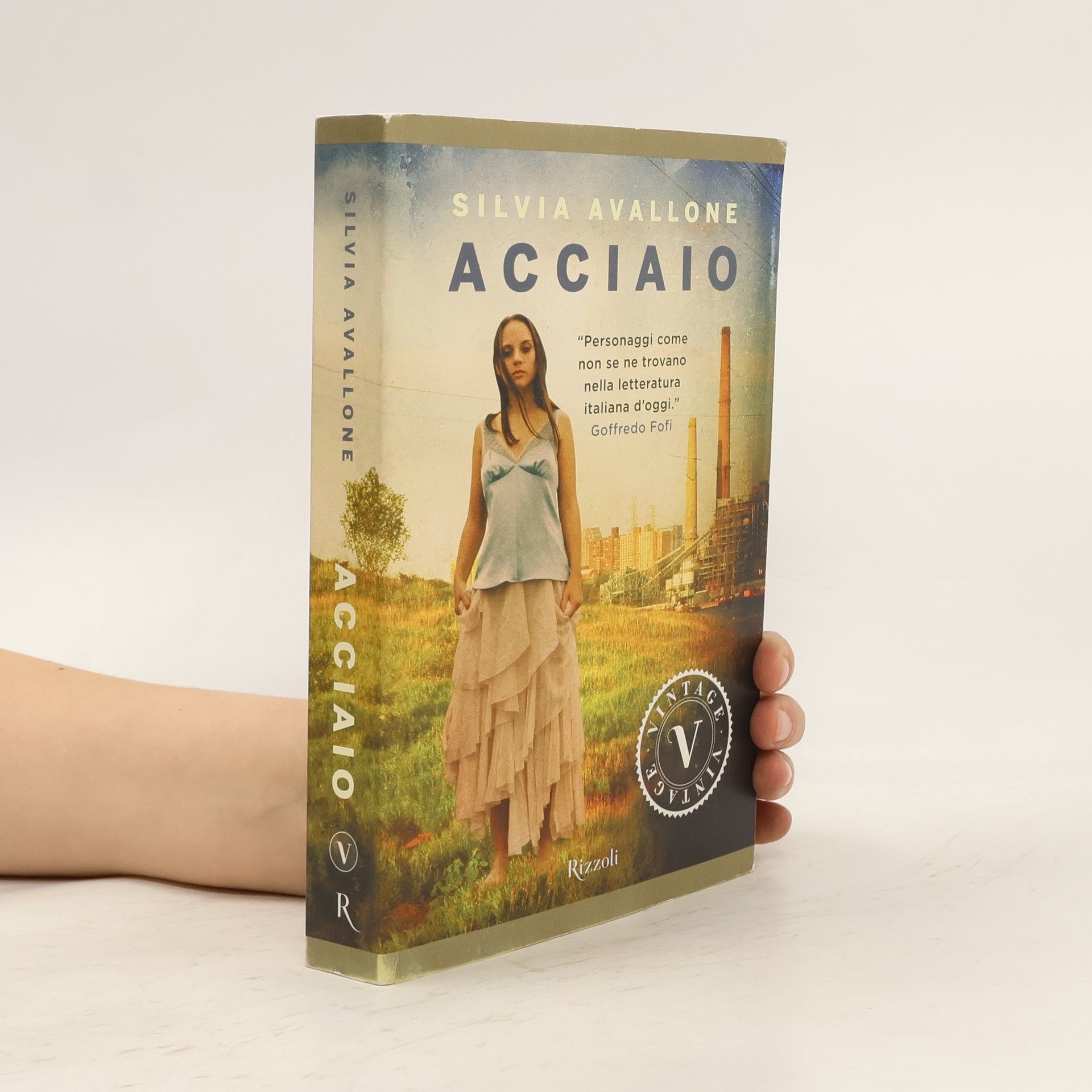 Silvia Avallone Acciaio