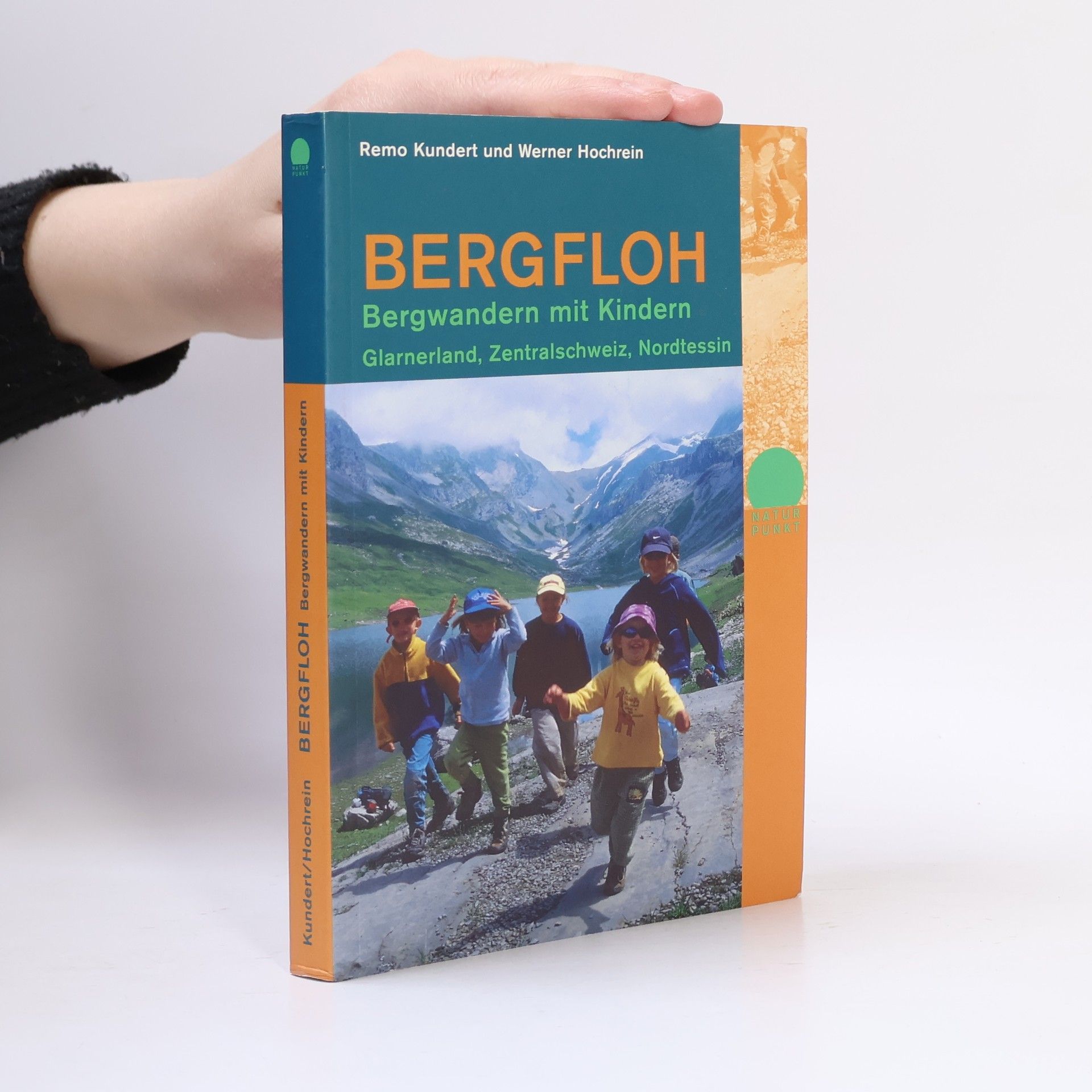 Remo Kundert Bergfloh