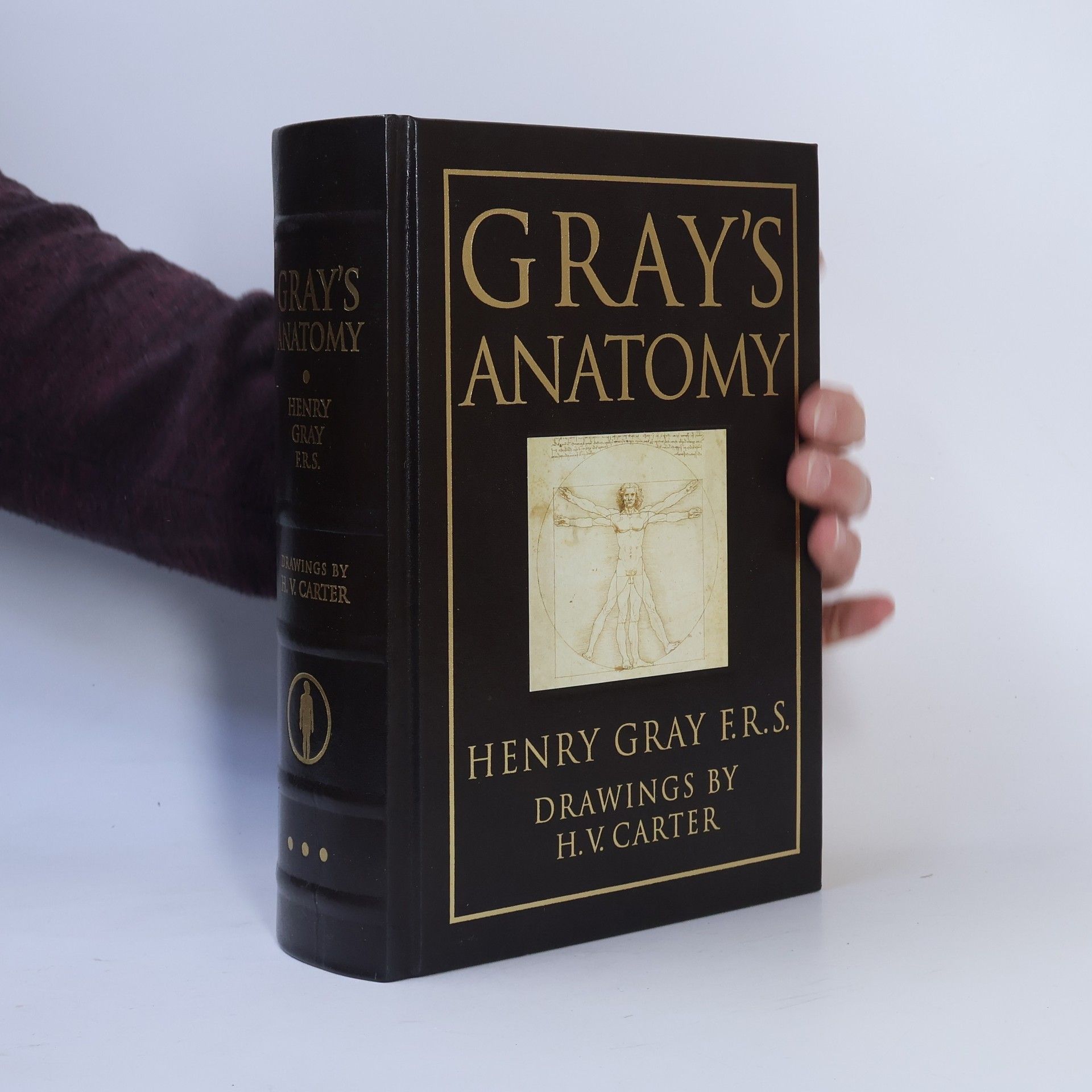 Henry Gray Gray's Anatomy