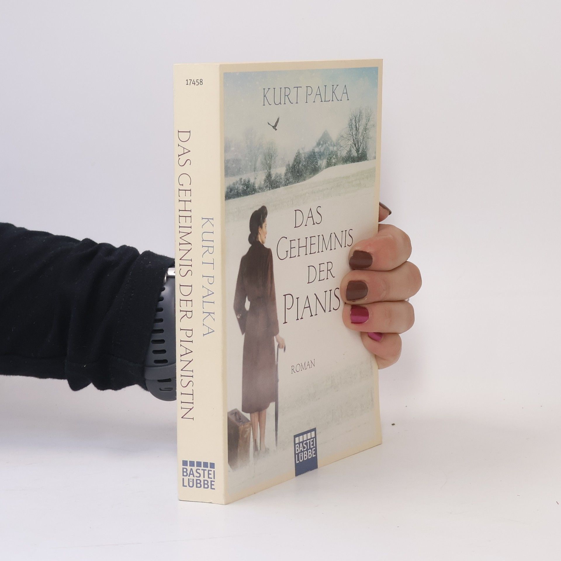 Kurt Palka Das Geheimnis der Pianistin