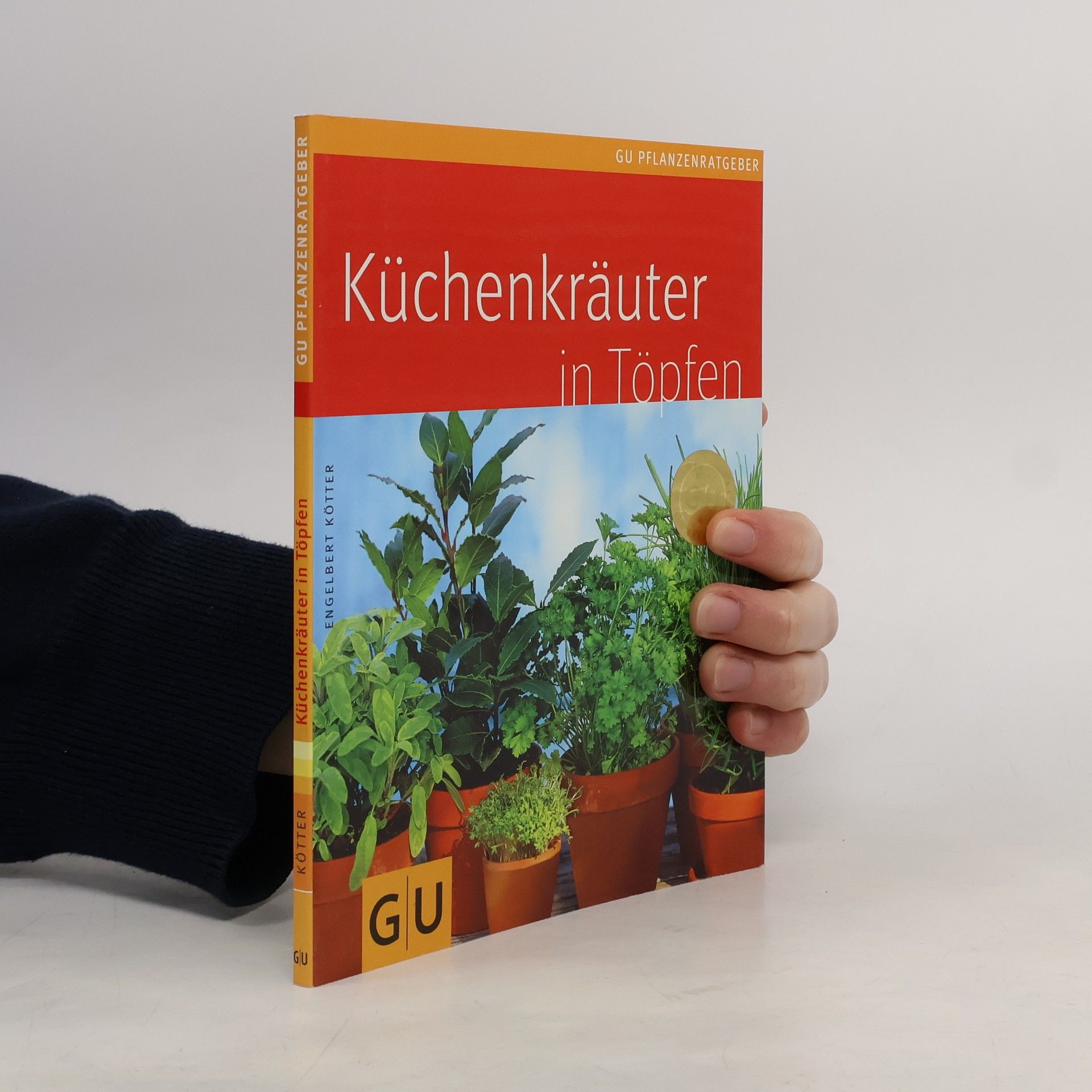 Autorenkollektiv Küchenkräuter in Töpfen