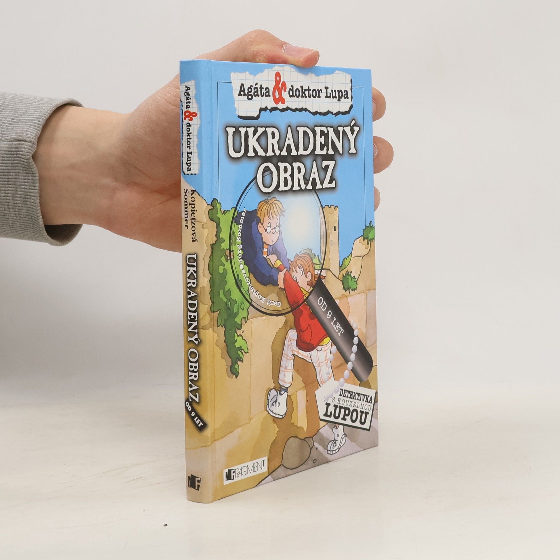 Jörg Sommer Ukradený obraz