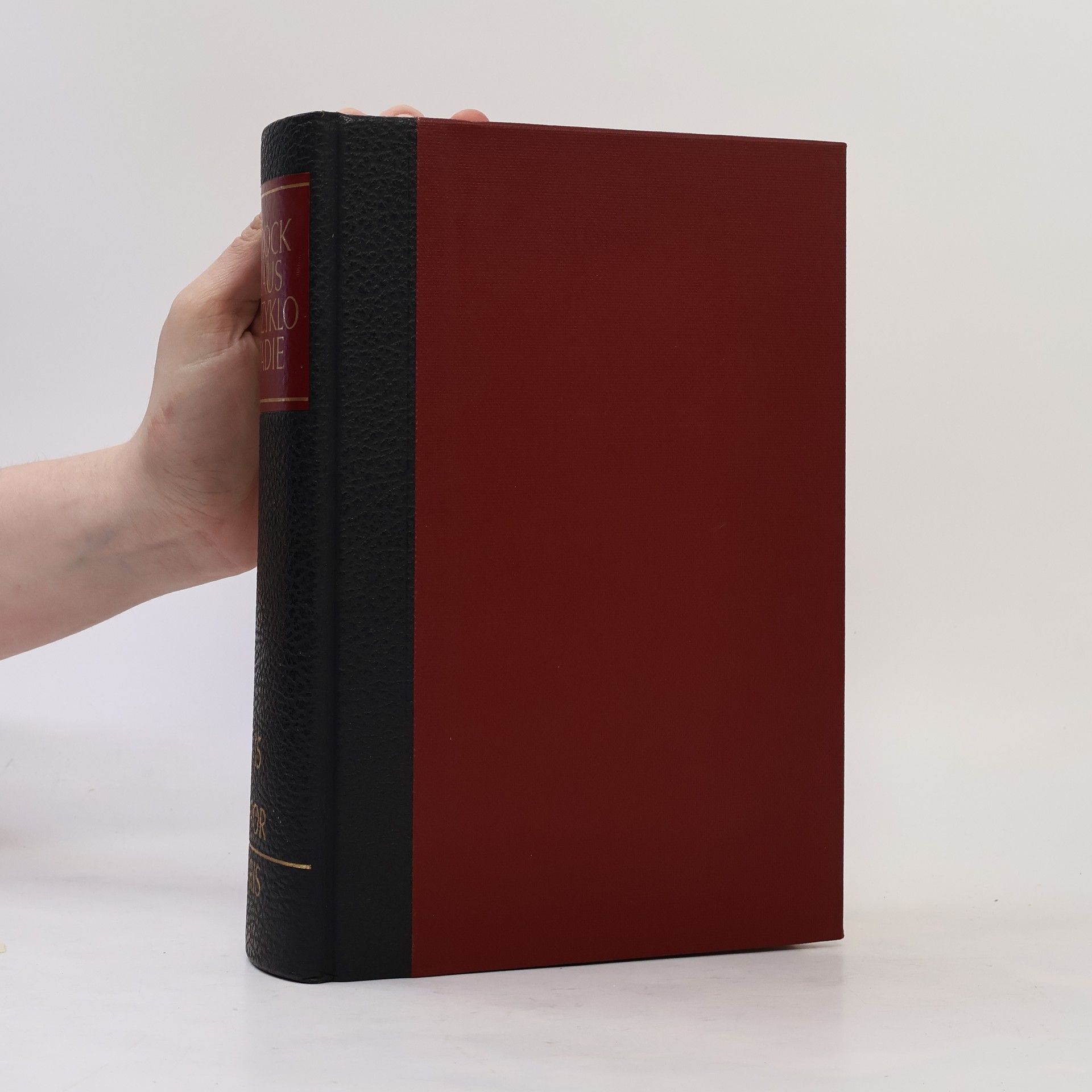 Kolektiv autorů Brockhaus Enzyklopädie 15. Por-Ris