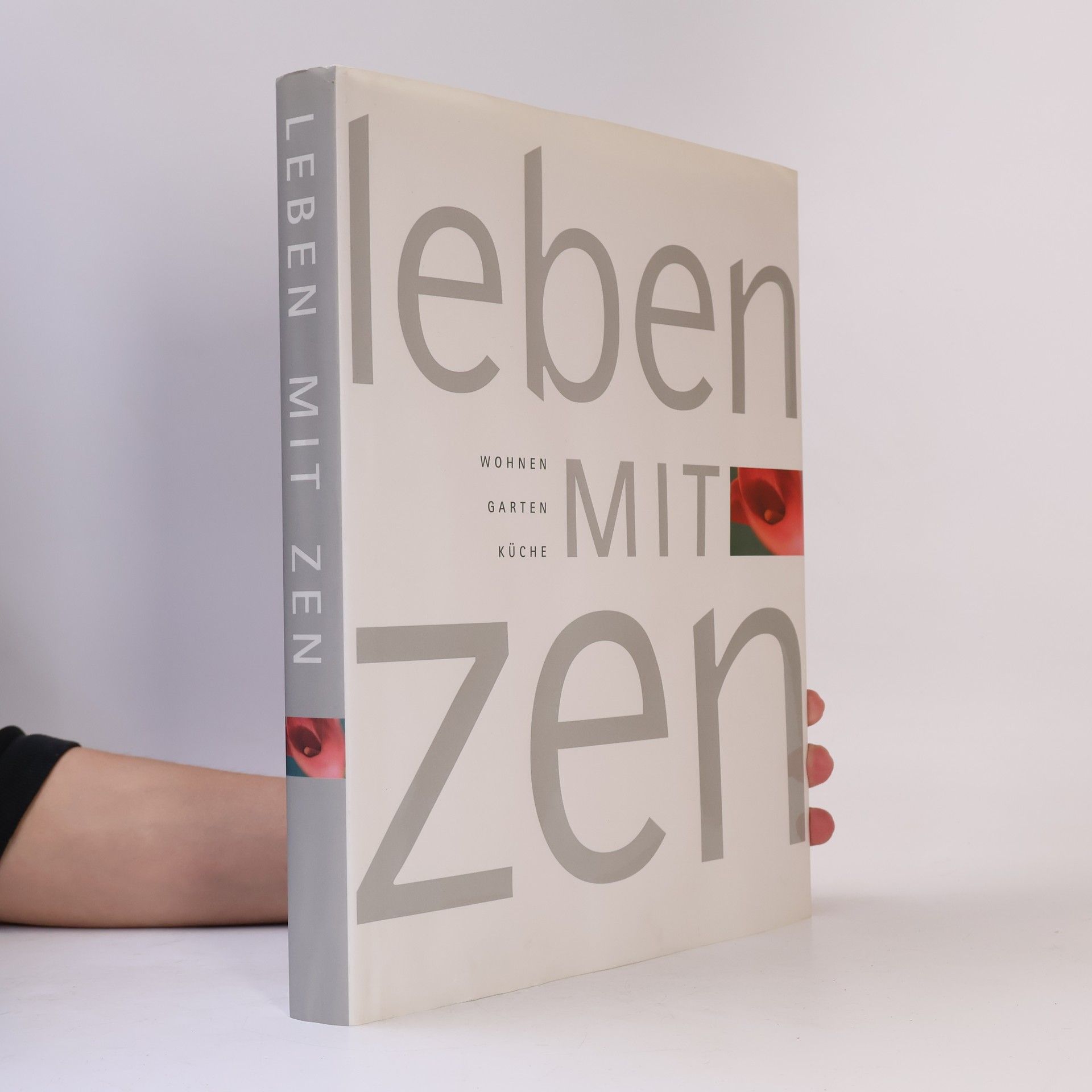Ou Baholyodhin Leben mit Zen