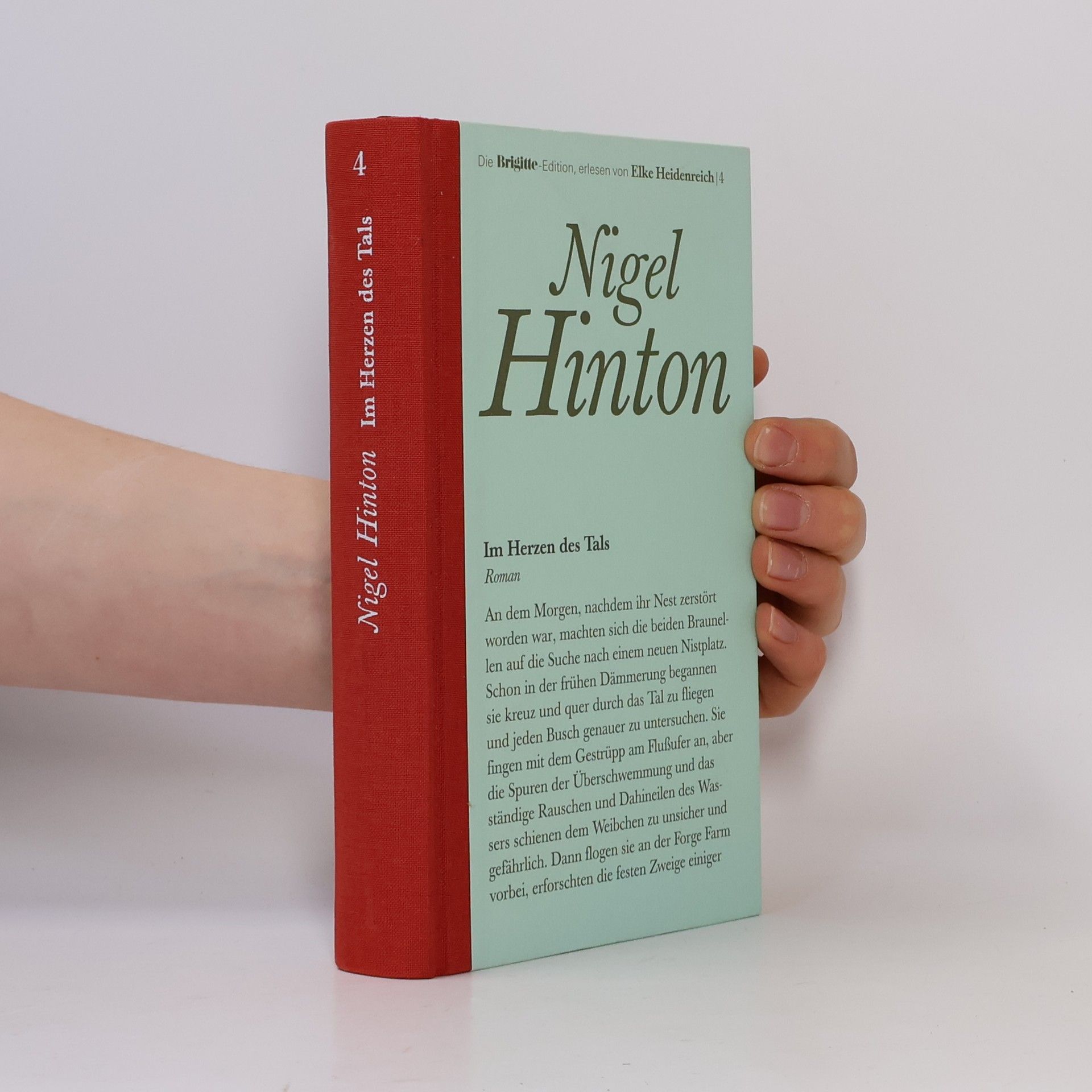 Nigel Hinton Im Herzen des Tals 4