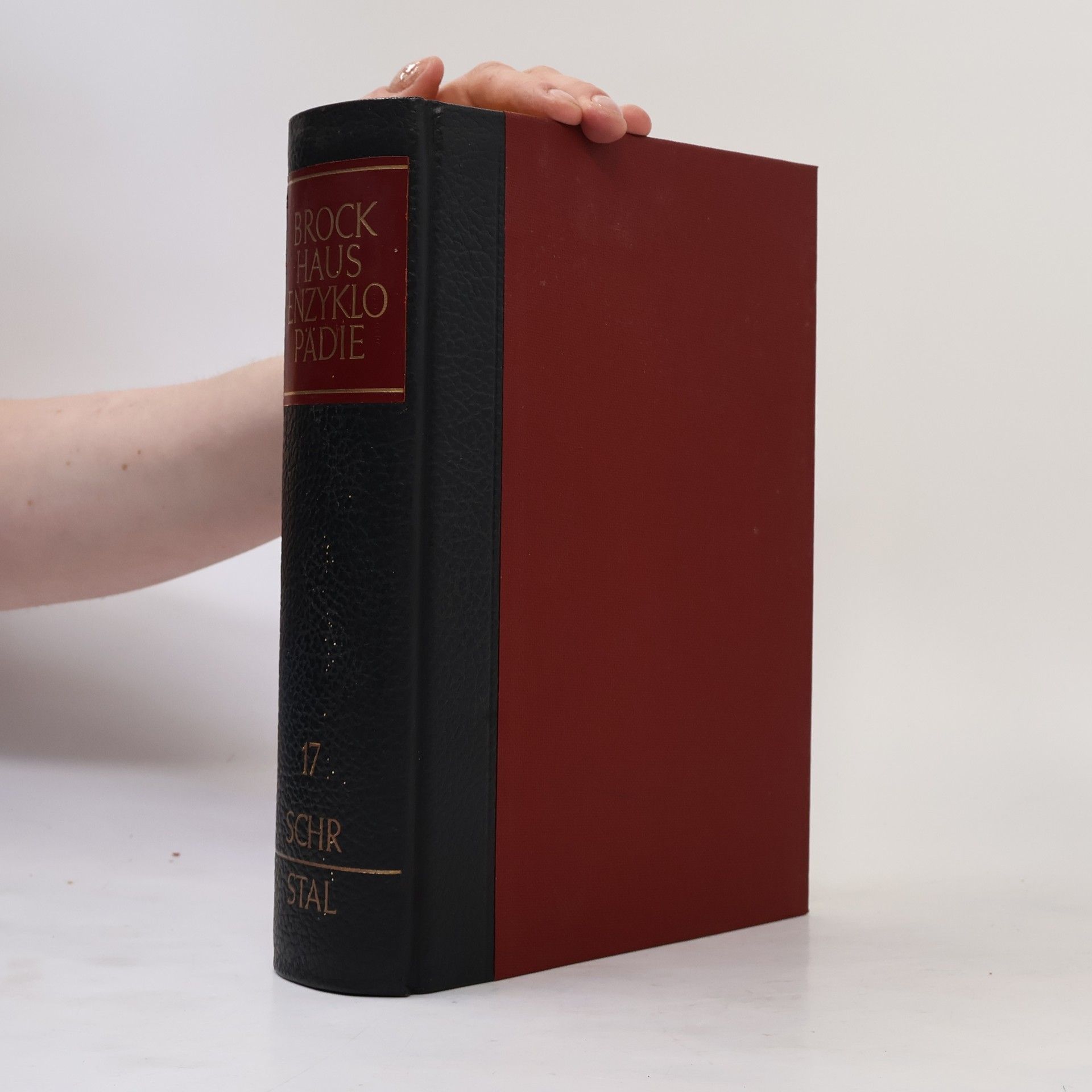 Kolektiv autorů Brockhaus Enzyklopädie