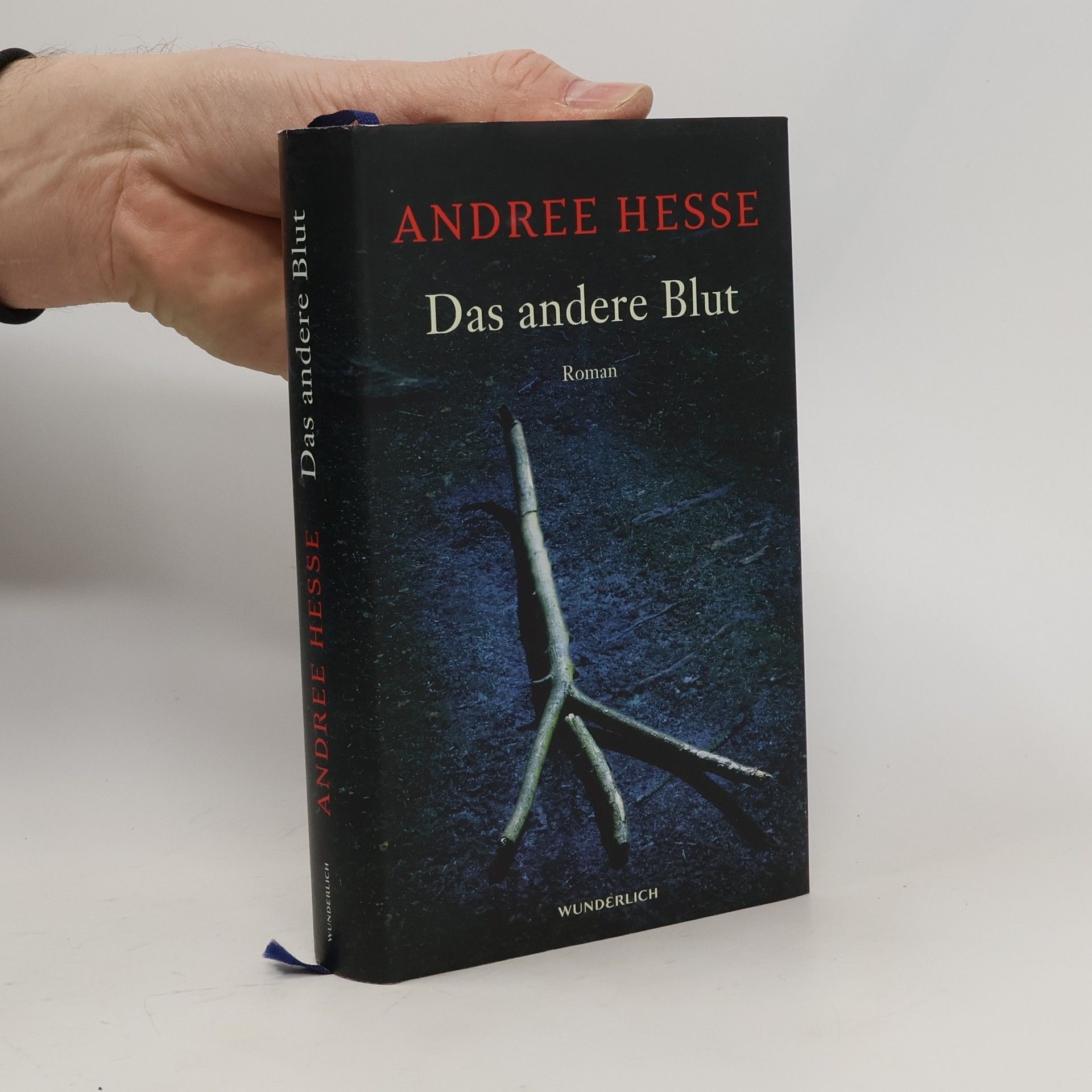 Andree Hesse Das andere Blut