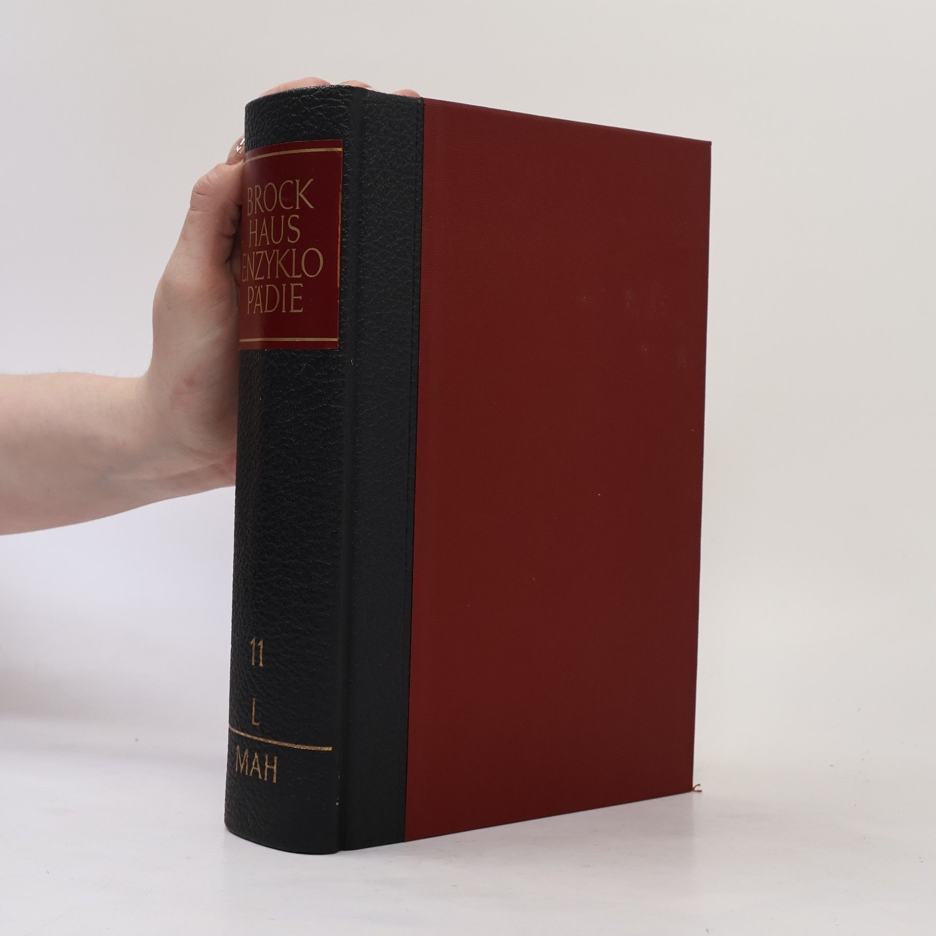 Kolektiv autorů Brockhaus Enzyklopädie 11