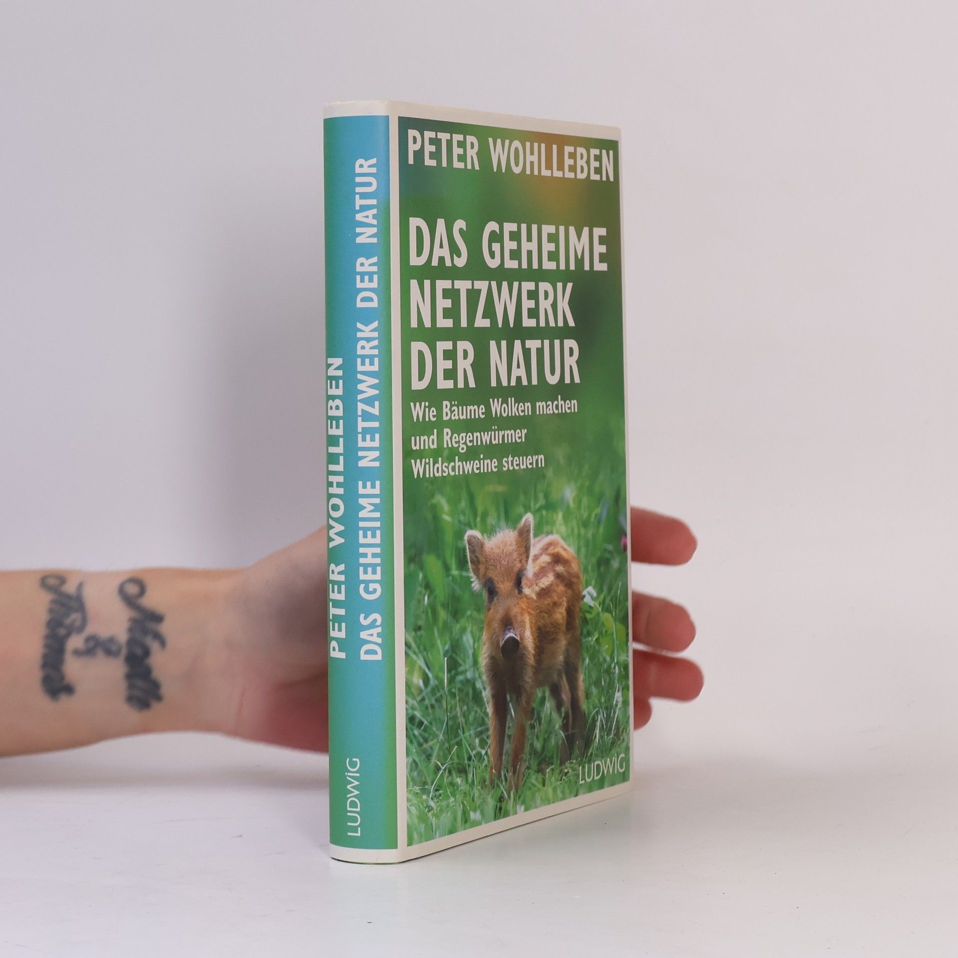 Peter Wohlleben Das geheime Netzwerk der Natur