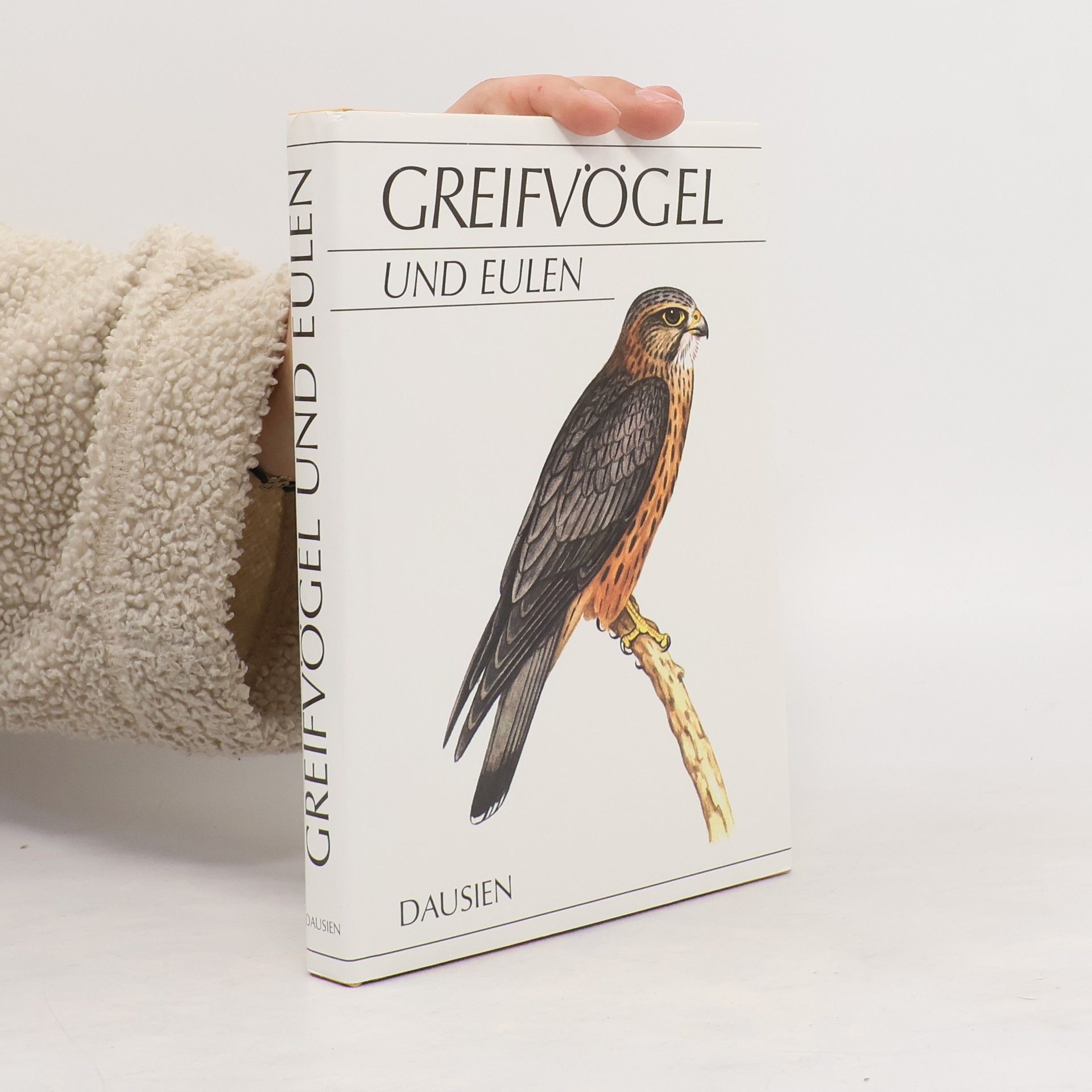 Greifvögel und Eulen