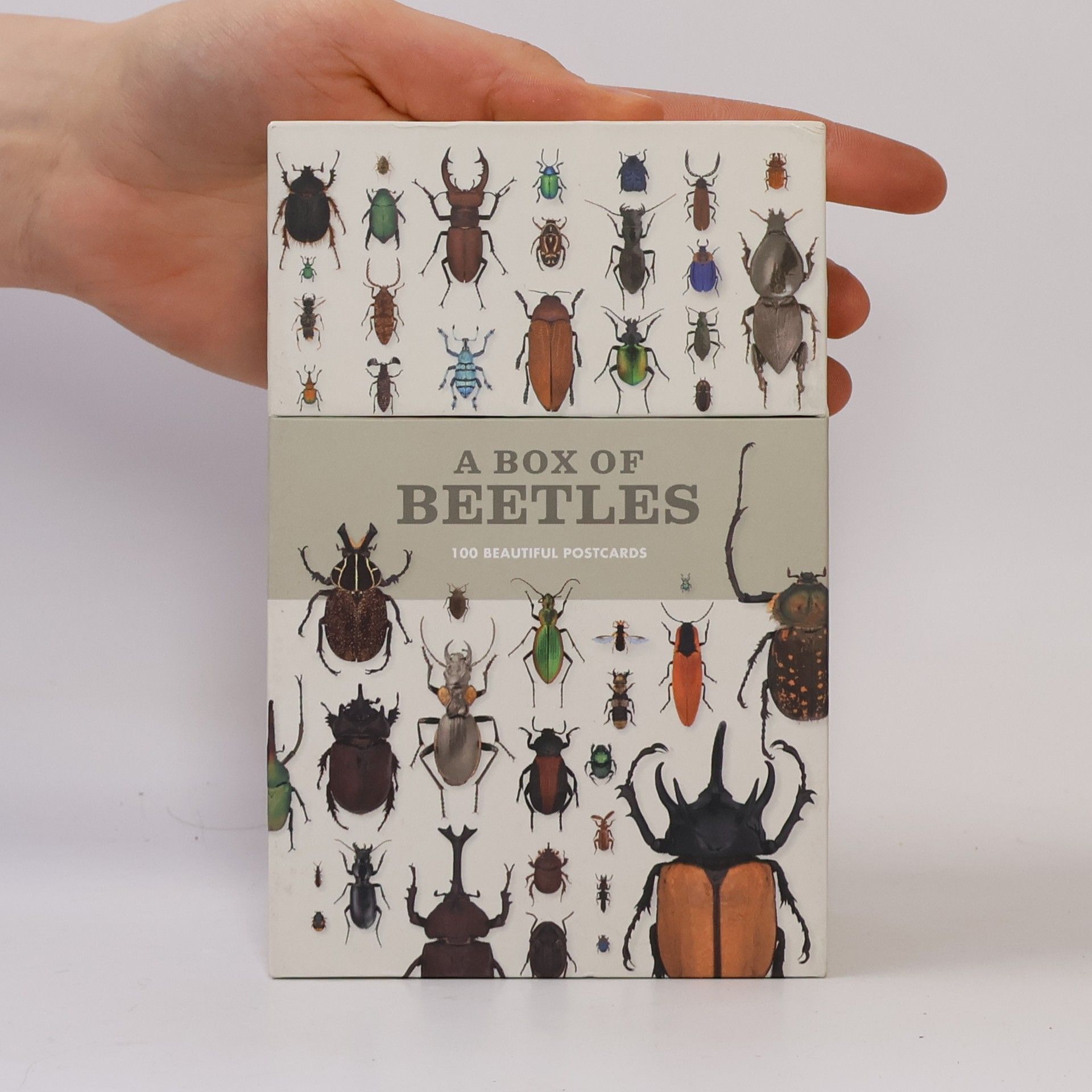 Patrice Bouchard A Box of Beetles: 100 Beautiful Postcards