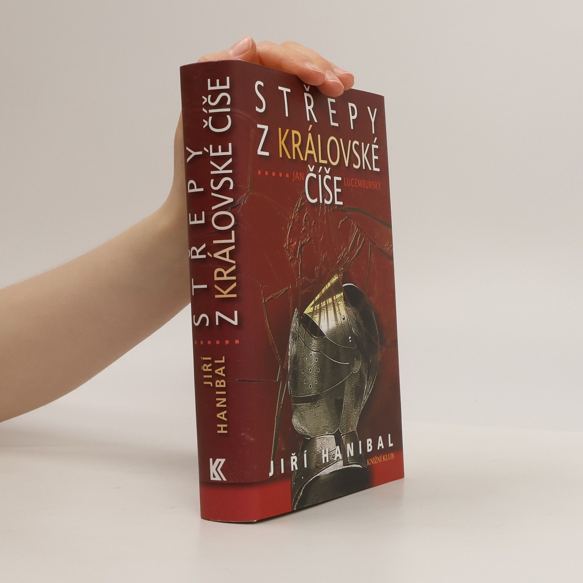 Střepy z královské číše: Jan Lucemburský